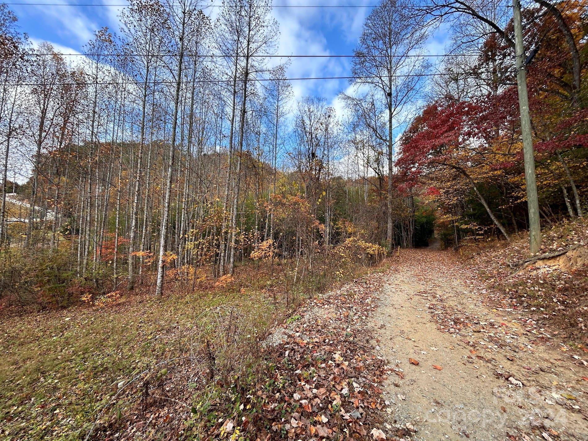 Bryson City, NC 28713,00 Jacobs RD