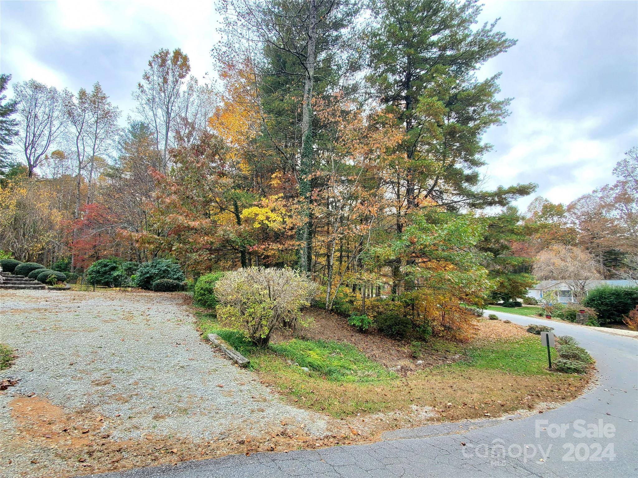 Flat Rock, NC 28731,202 Mint WAY