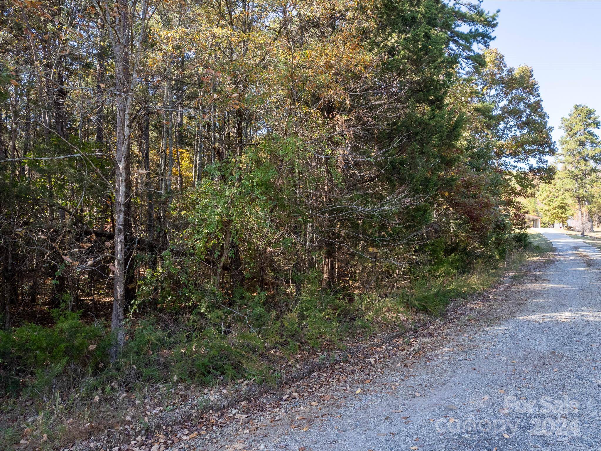 Cleveland, NC 27013,2.56AC Mt Hall RD