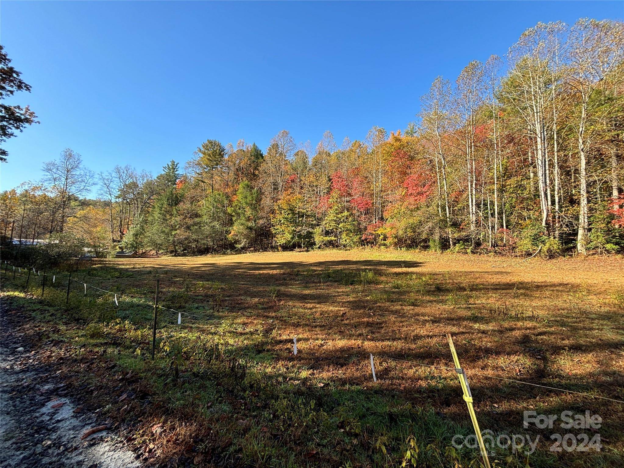 Lenoir, NC 28645,TBD Pigtail RD