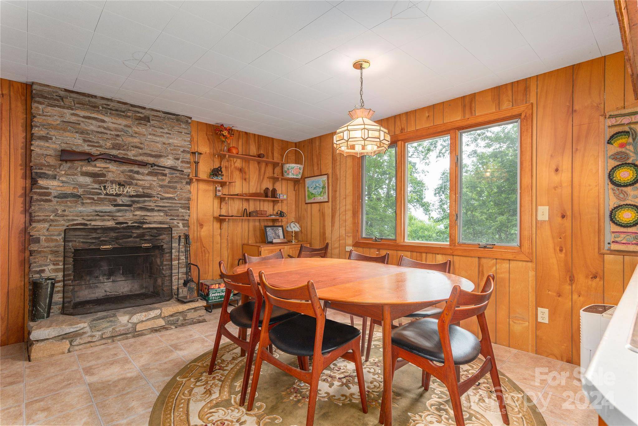 Waynesville, NC 28785,282 Vireo LN