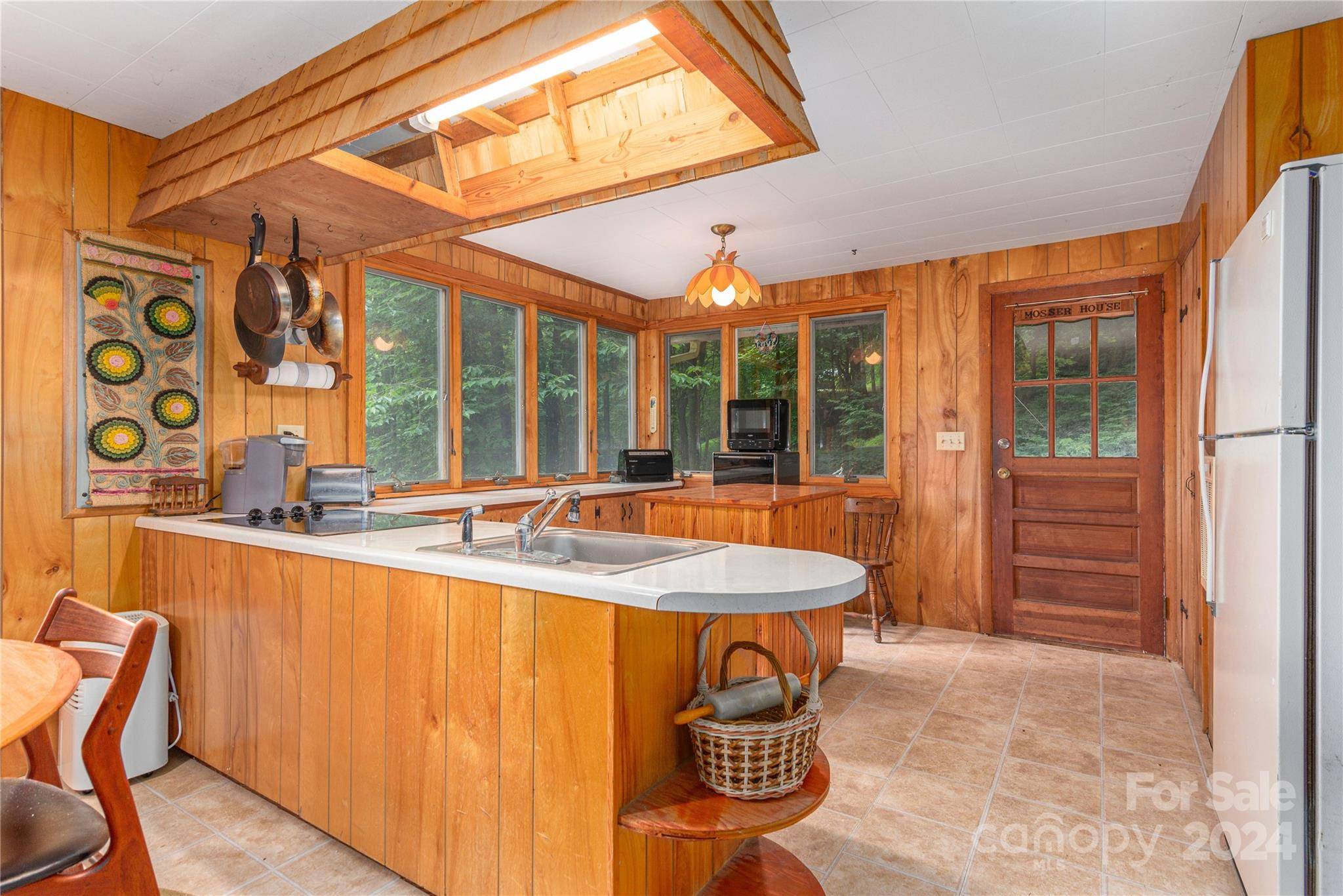 Waynesville, NC 28785,282 Vireo LN