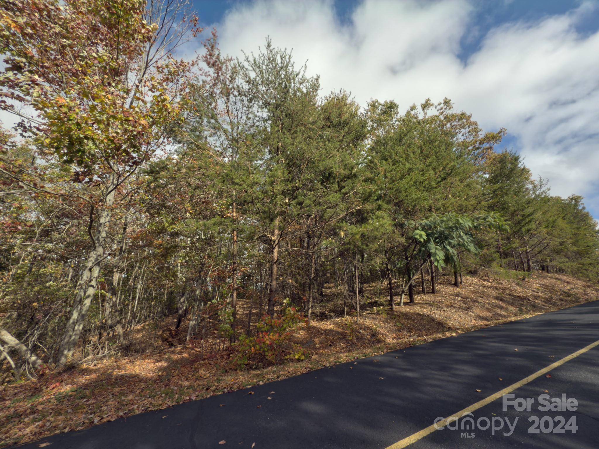 Bostic, NC 28018,O Mountain Lookout DR