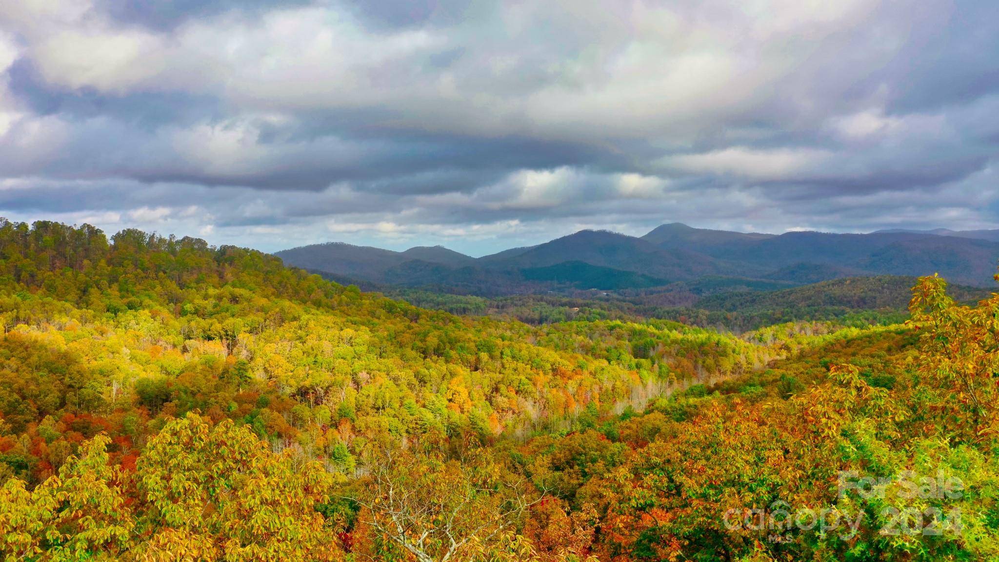 Bostic, NC 28018,O Mountain Lookout DR