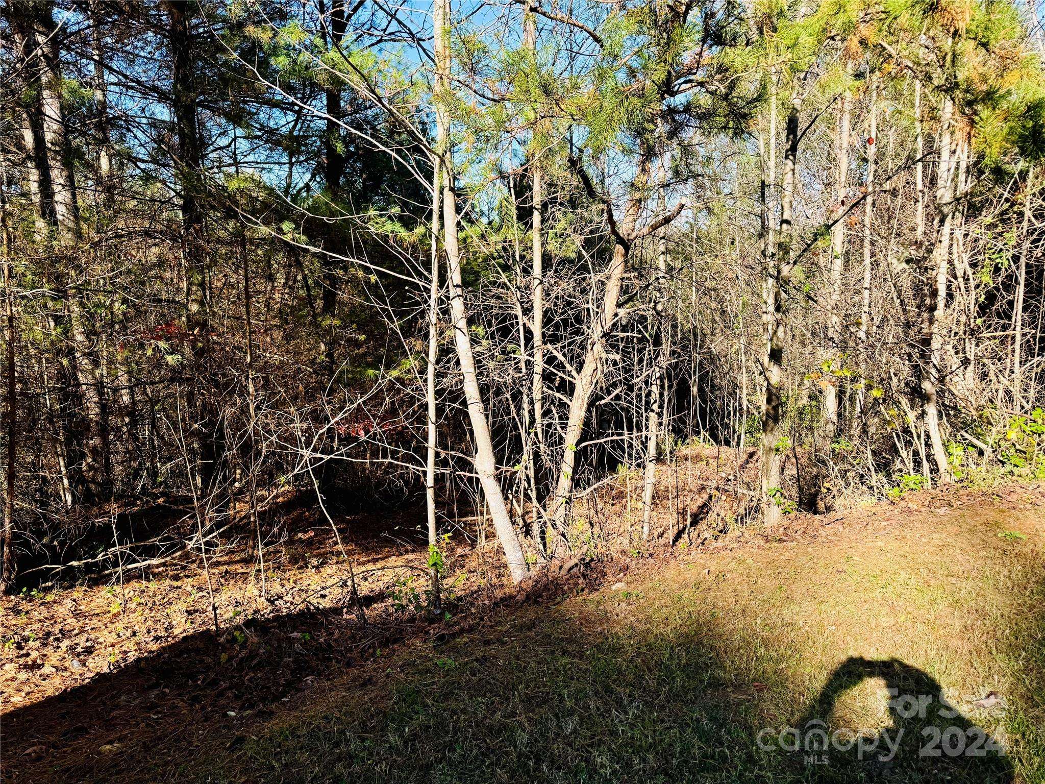 Lenoir, NC 28645,6.09 acres Lot 136/137 Johns Ridge Pkwy #136/137