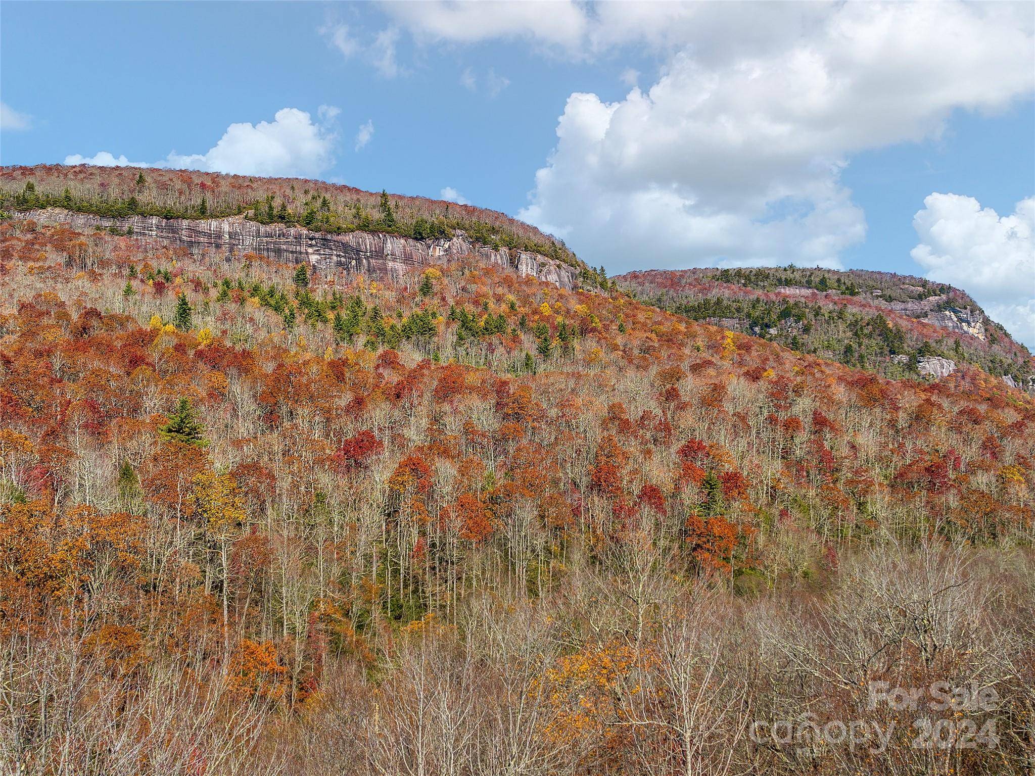 Lake Toxaway, NC 28747,TBD Cold Mountain RD #Hilltop Camp