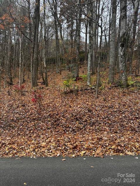 Maggie Valley, NC 28751,309 Nottingham RD