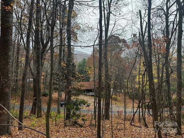 Maggie Valley, NC 28751,309 Nottingham RD