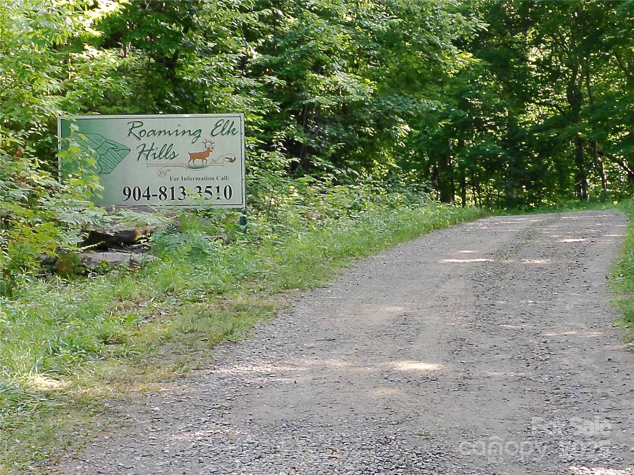 Waynesville, NC 28785,00 Yonah TRL #7