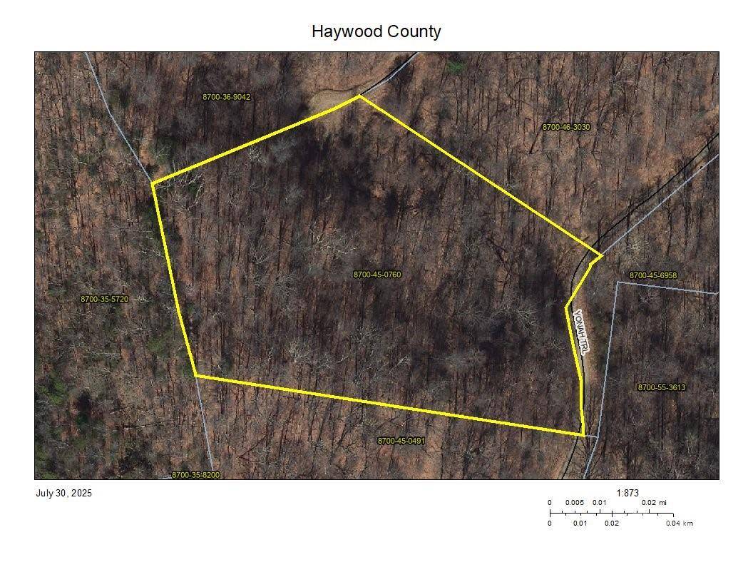 Waynesville, NC 28785,00 Yonah TRL #7