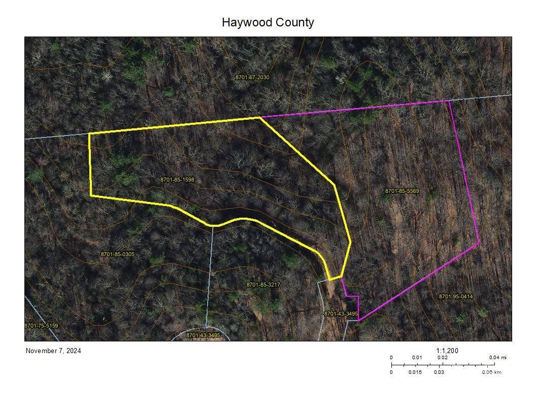 Waynesville, NC 28785,124 & 125 Large Poplar TRL