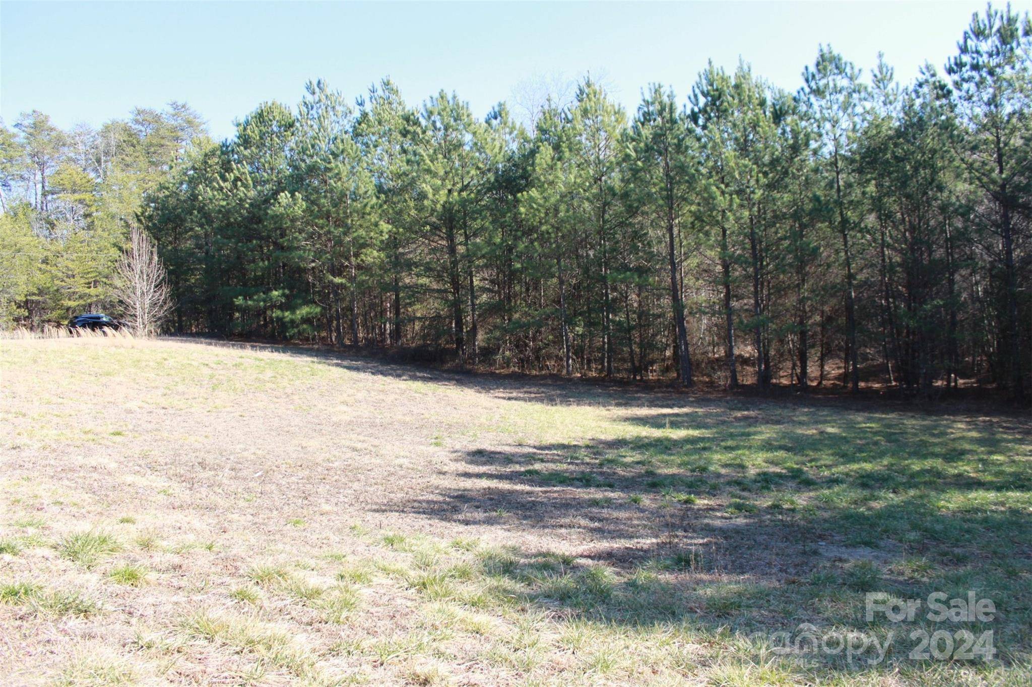 Rutherfordton, NC 28139,00 Quail Hill DR