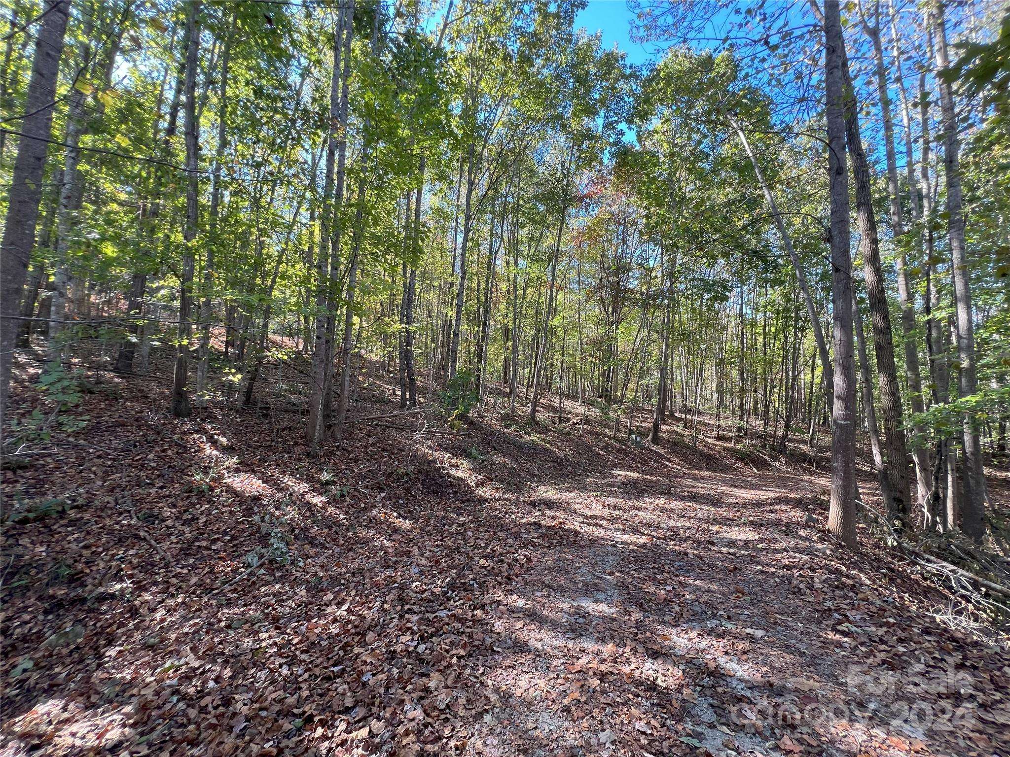 Nebo, NC 28761,TBD Brindlewood DR #67,68