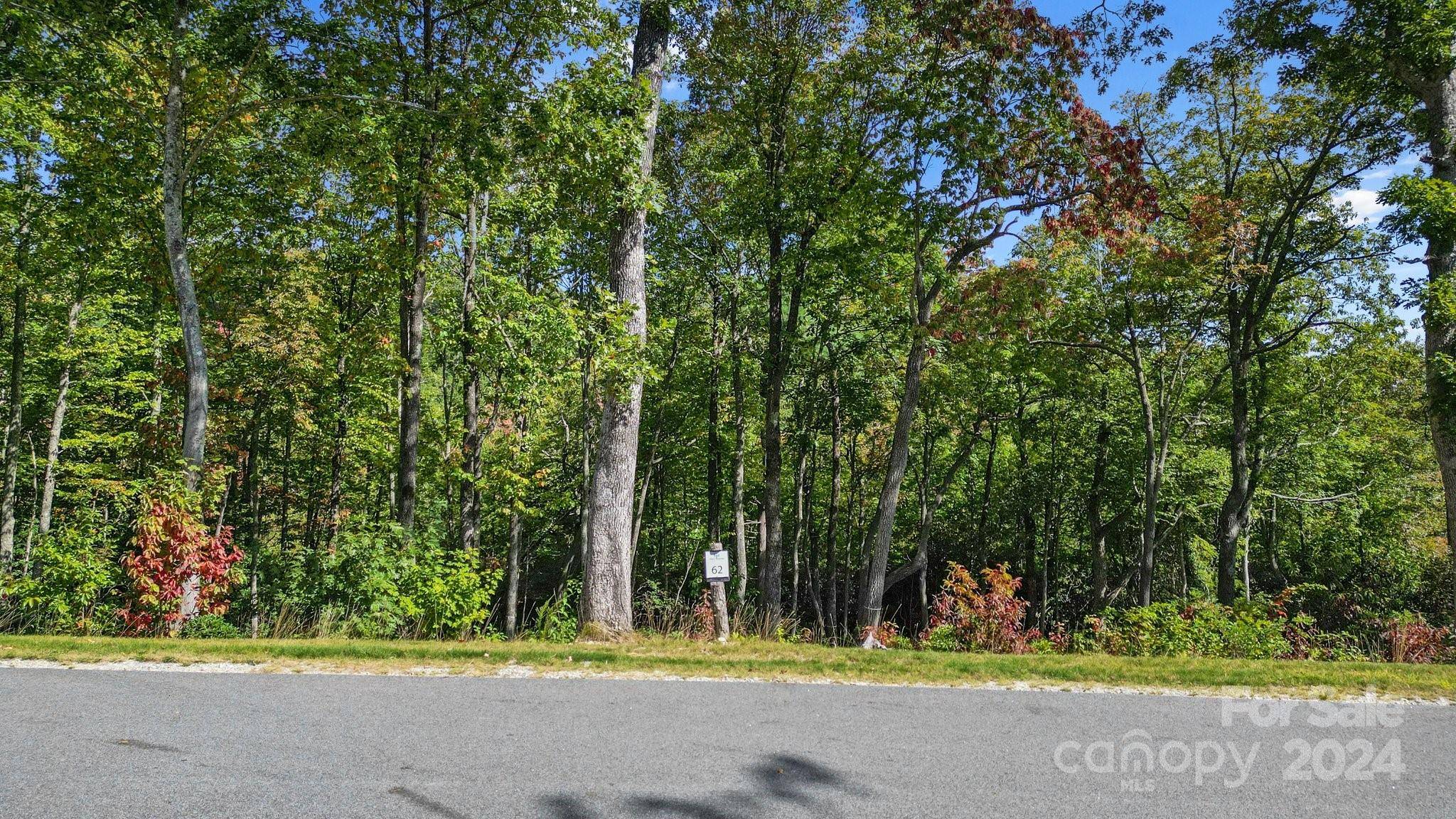 Fletcher, NC 28732,LOT 62 Mountain Grove LN #62