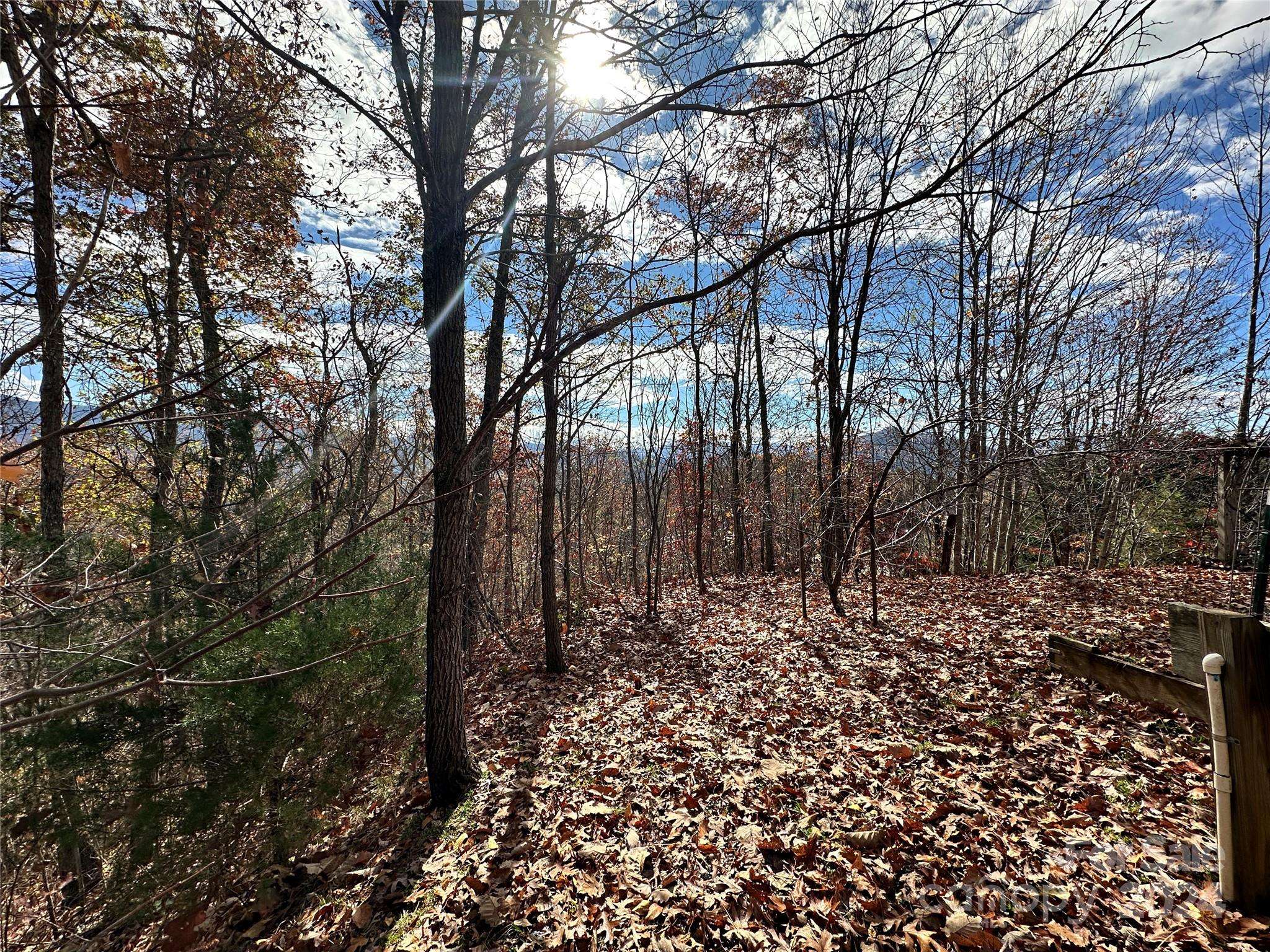 Bryson City, NC 28713,0 Charleston RDG