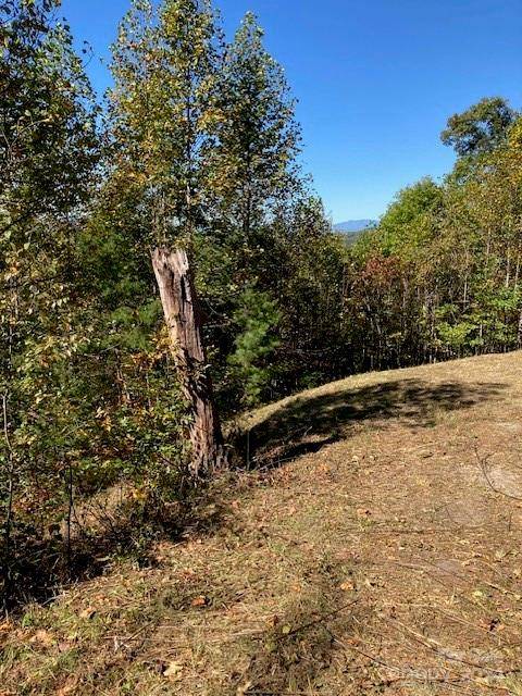 Nebo, NC 28761,213 Rocky Top LN #Lot #267