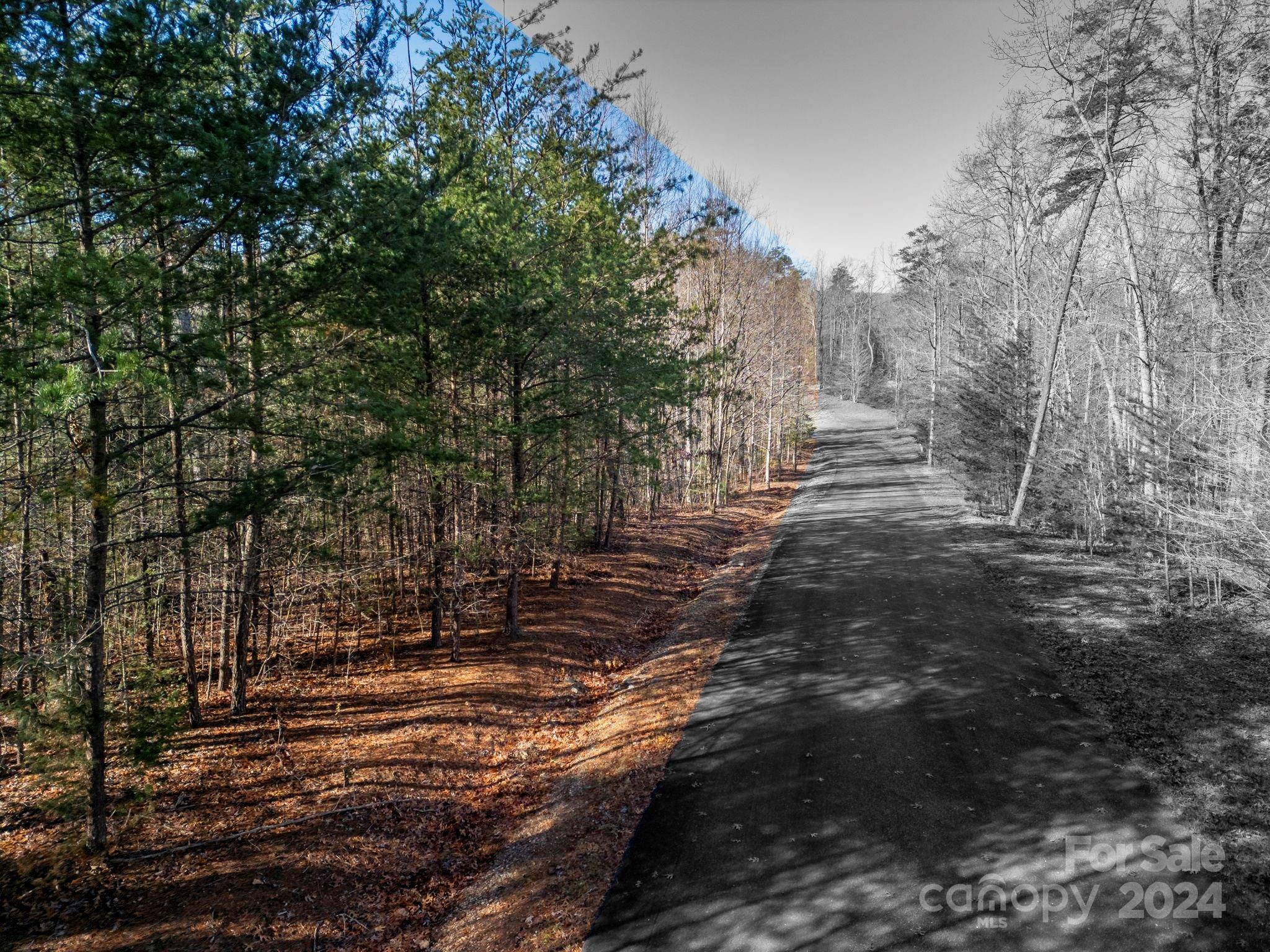 Marion, NC 28752,0 Forest Country DR #60