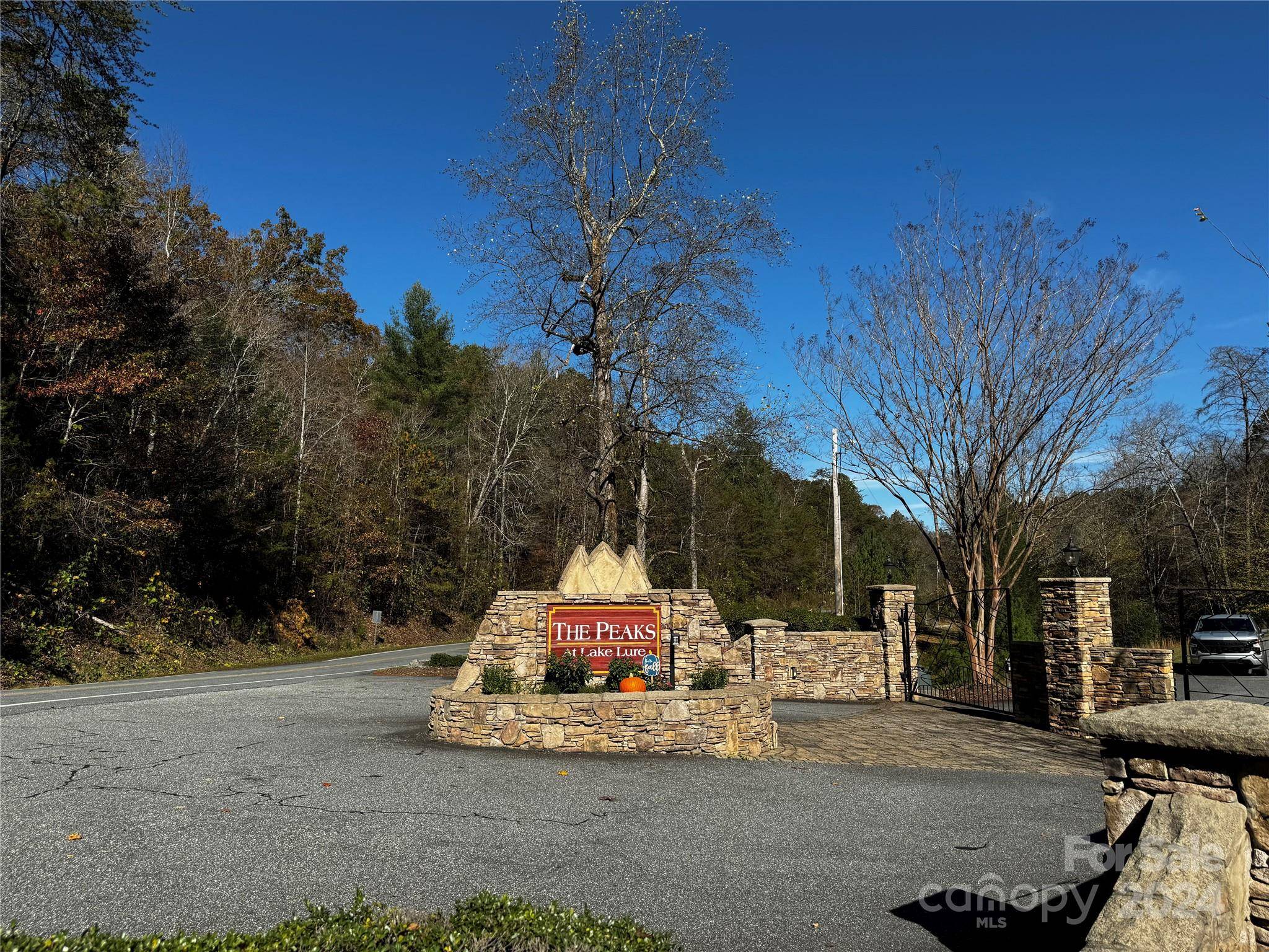 Lake Lure, NC 28746,44 Boulder RDG #44