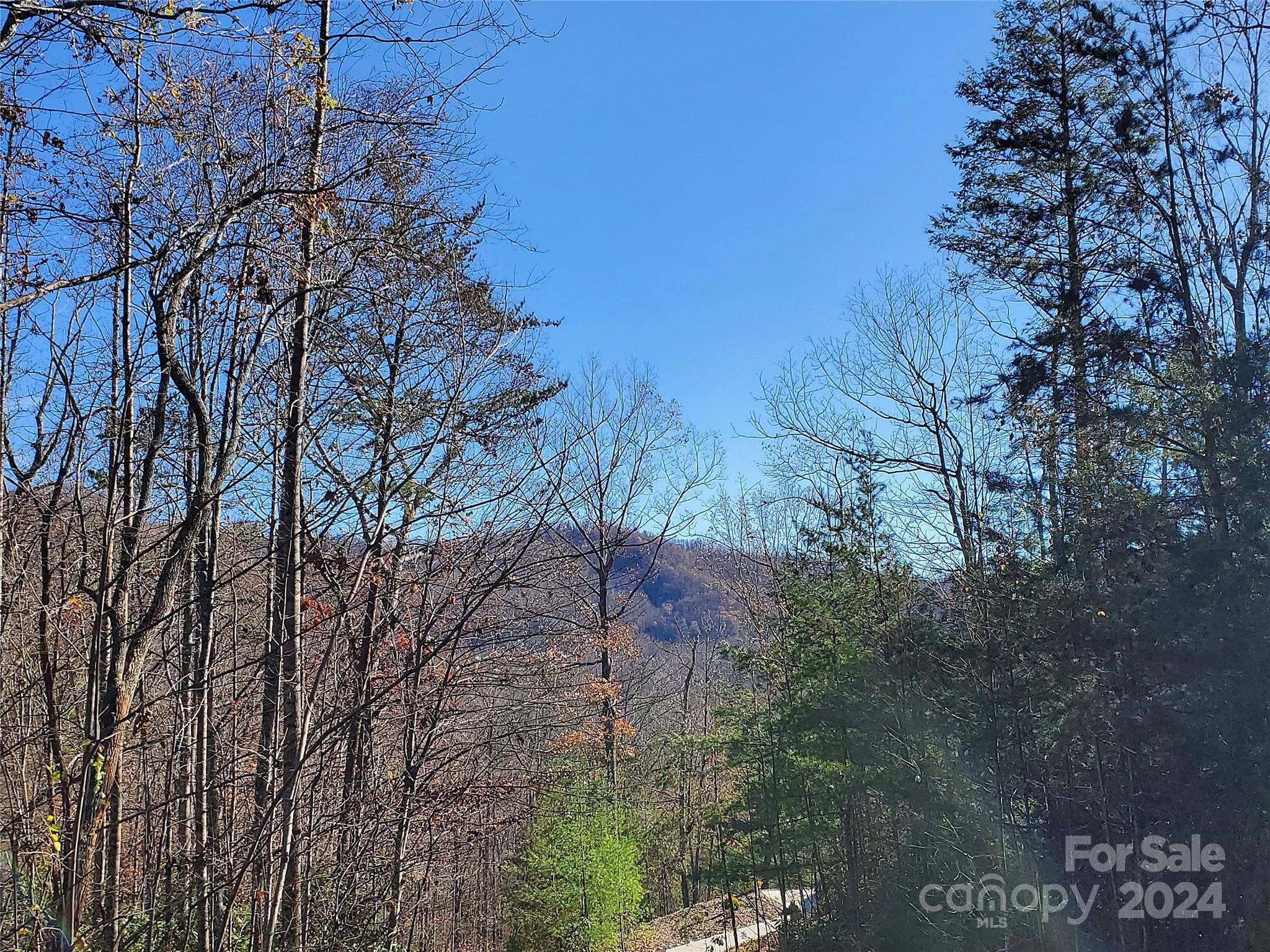 Hendersonville, NC 28792,336 Falling Leaves LN #41