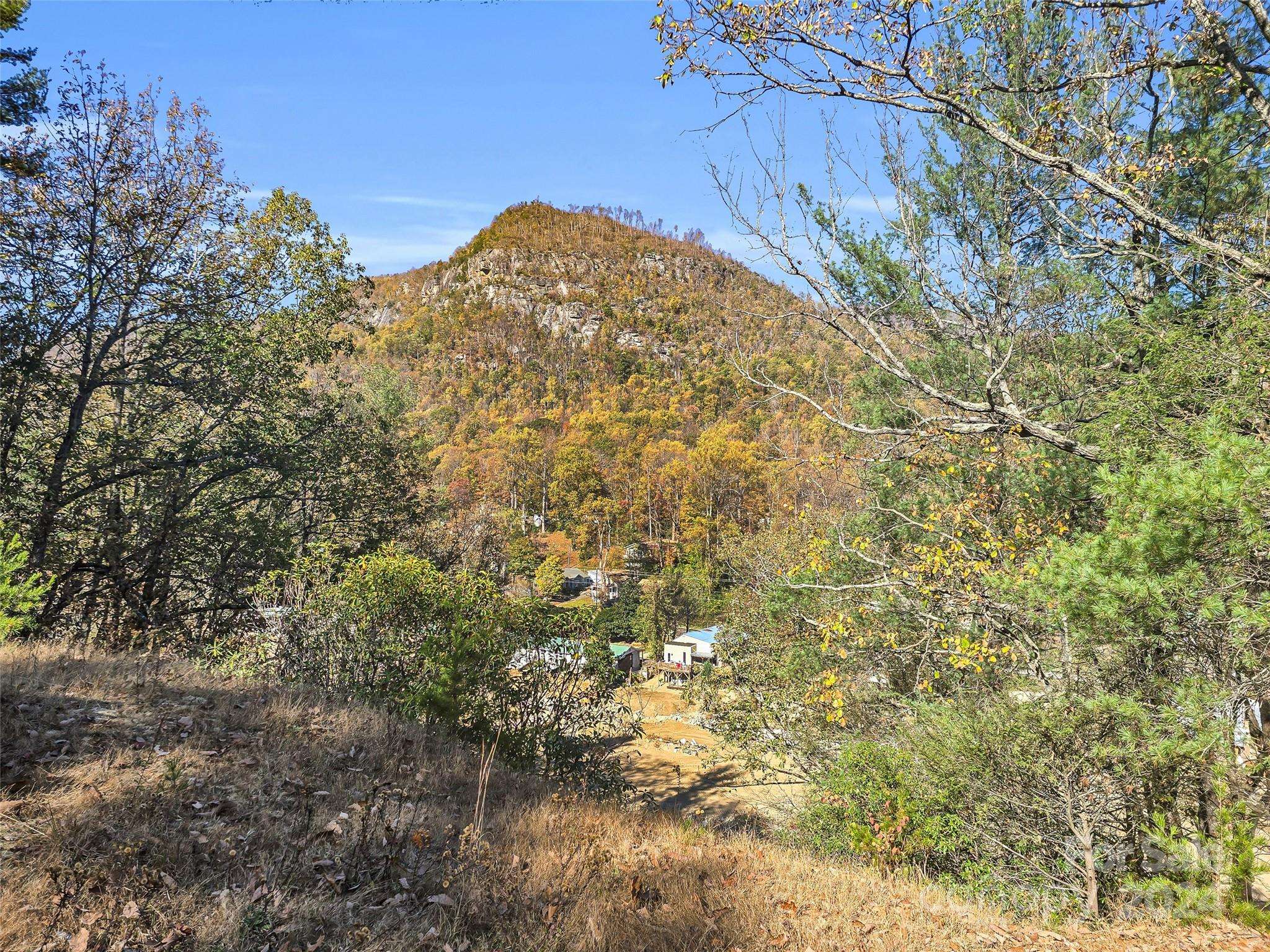 Lake Lure, NC 28746,00 Chimney Cliffs DR #04 & 05