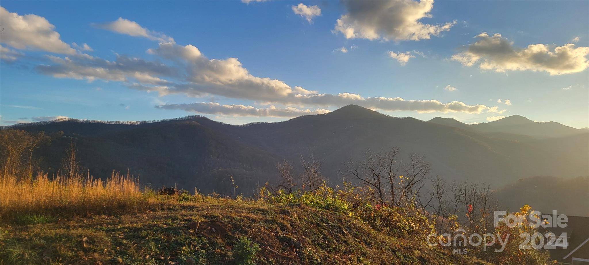 Waynesville, NC 28785,92 Prestige PT