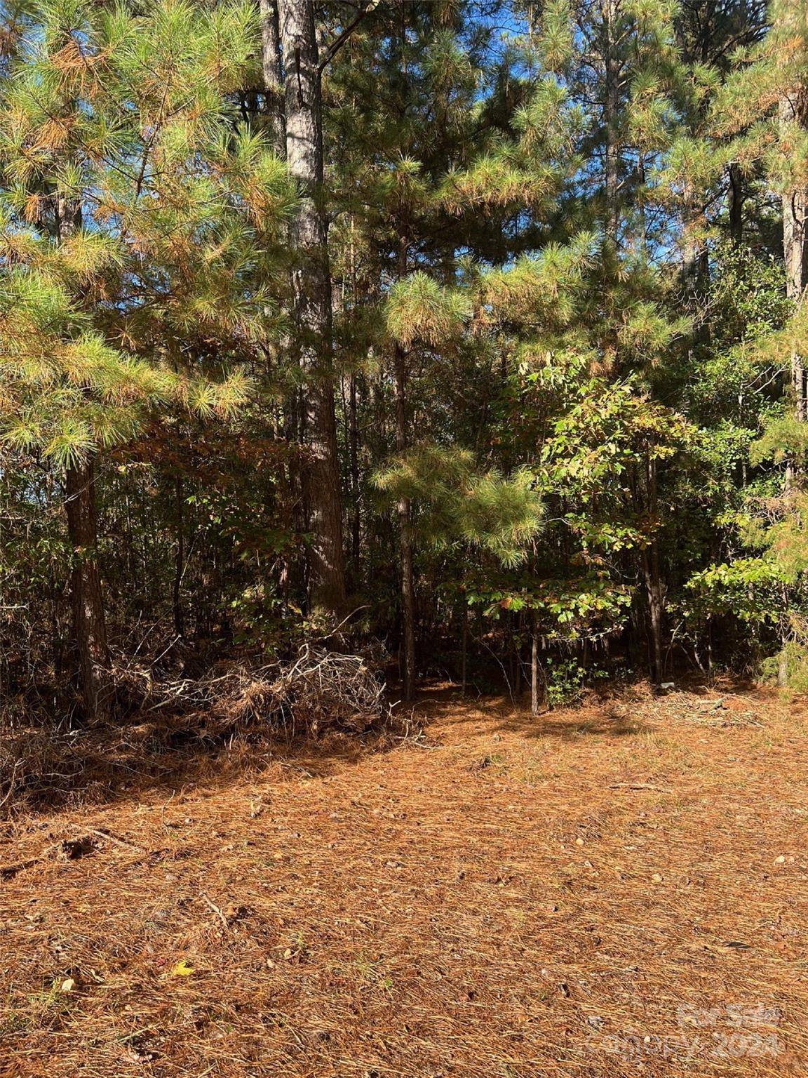 Wadesboro, NC 28170,00 Horton RD
