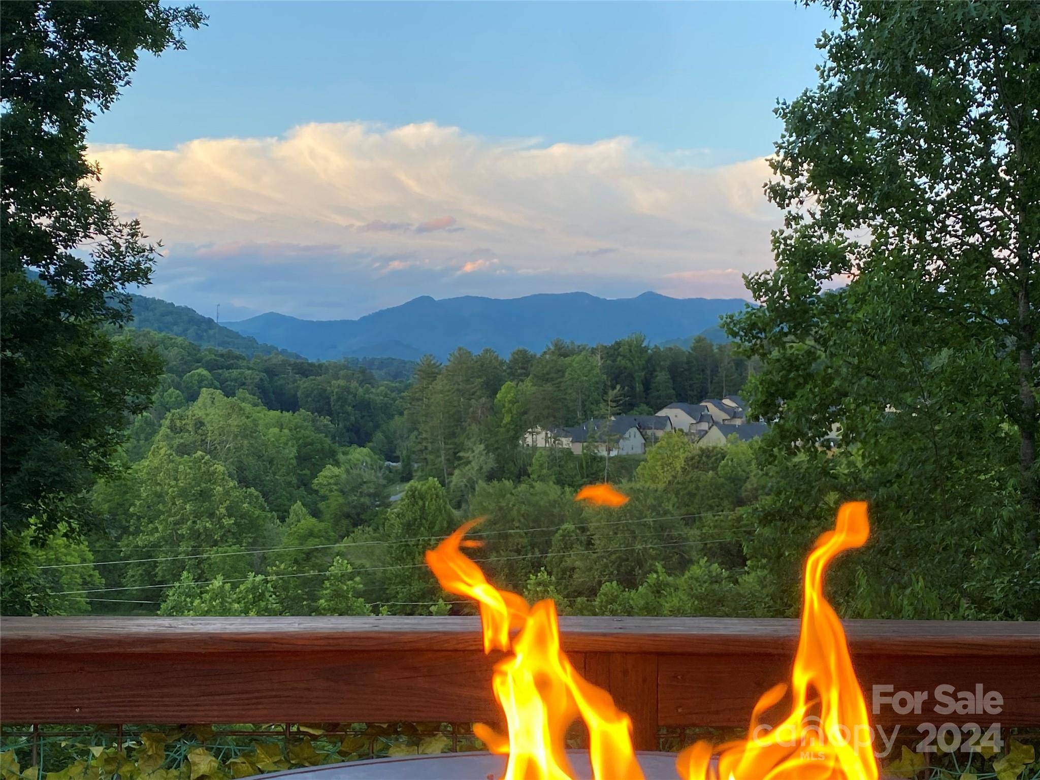 Weaverville, NC 28787,115 Upper Grove LN