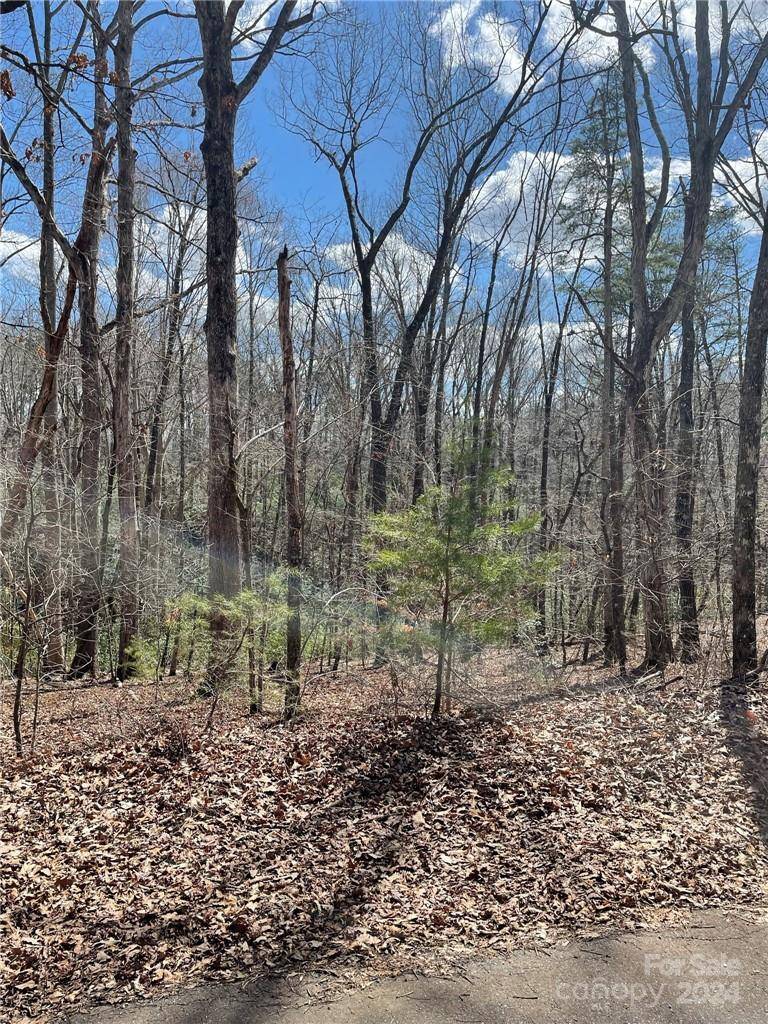 Tryon, NC 28782,00 Renard RD #5