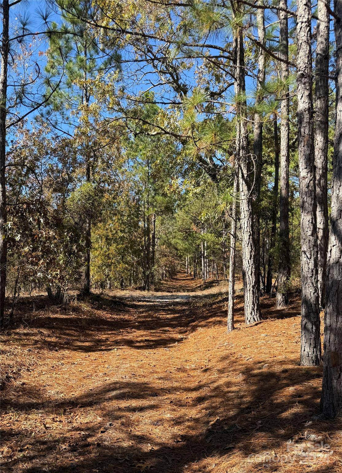 Patrick, SC 29584,TBD Nivens RD