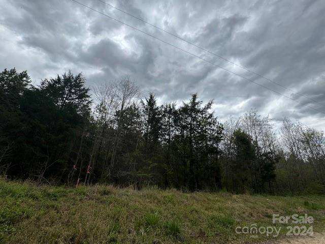 Pageland, SC 29728,000 Dudley Church RD