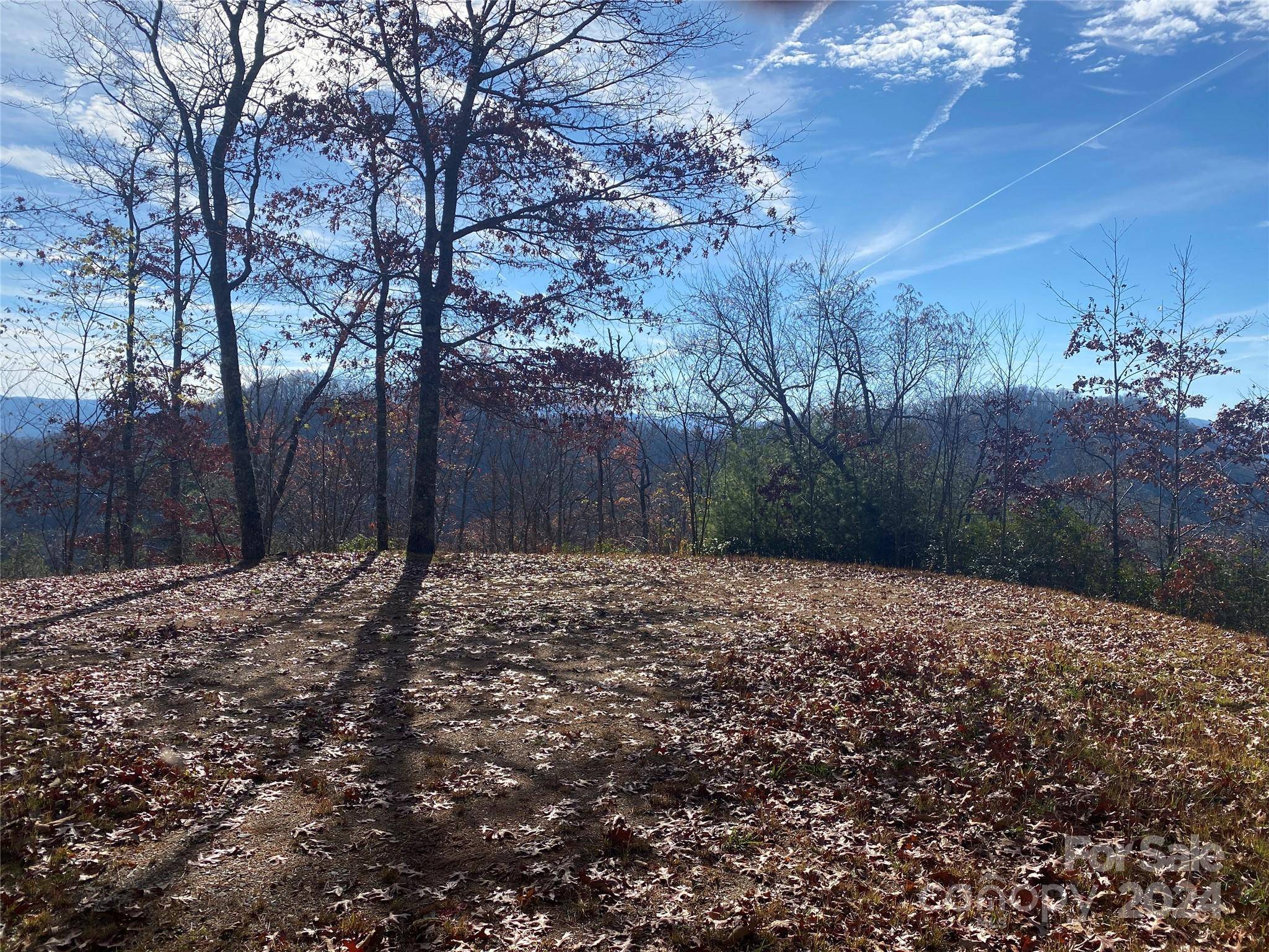 Topton, NC 28781,Lot 4 Mystic WAY W