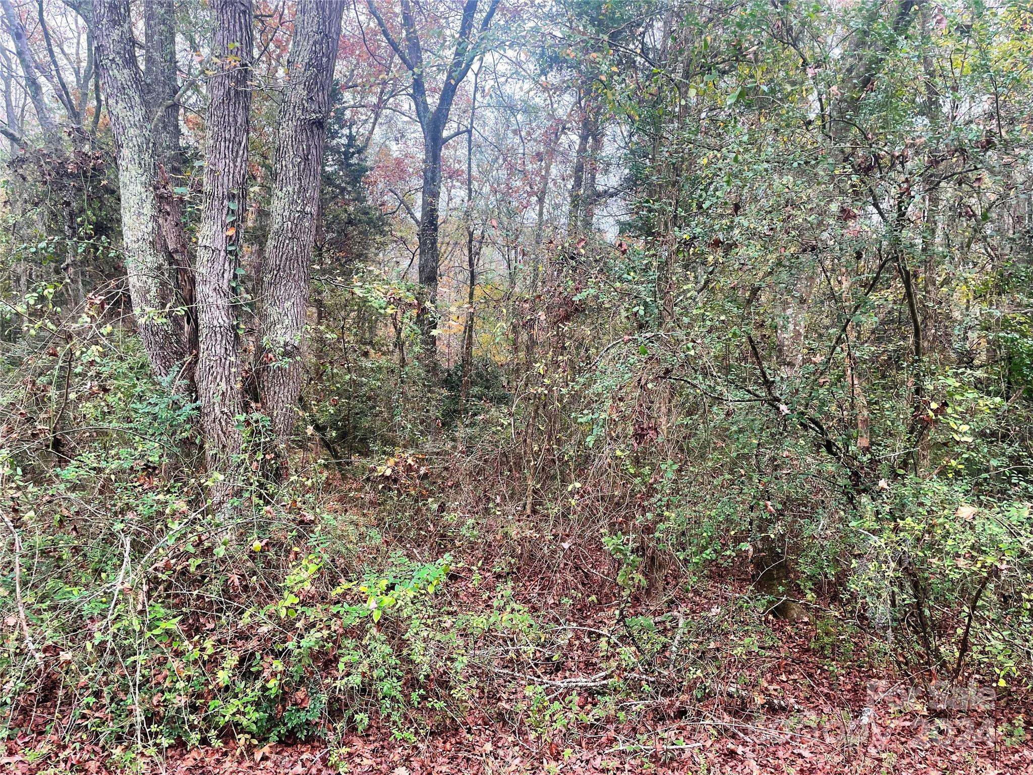 Edgemoor, SC 29712,Lot 2 Starnes RD