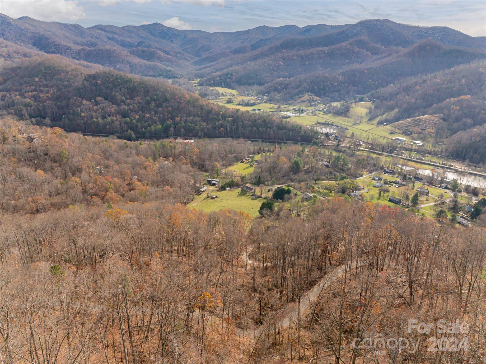 Weaverville, NC 28787,123 Camelfield RD