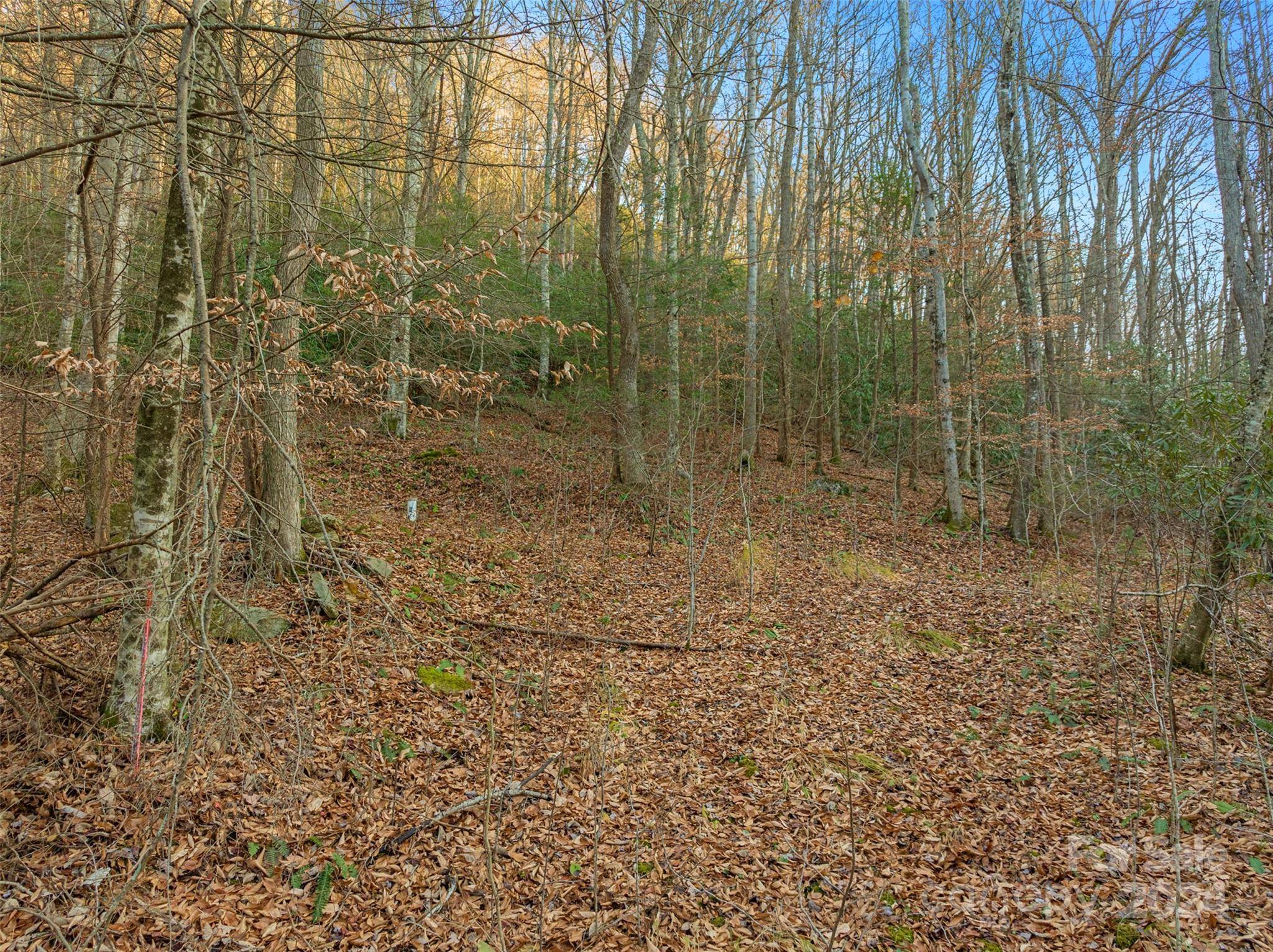 Mars Hill, NC 28754,370 Cabin Creek TRL