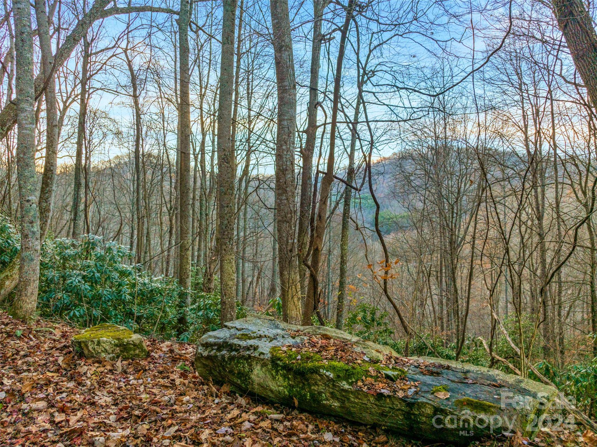 Mars Hill, NC 28754,370 Cabin Creek TRL