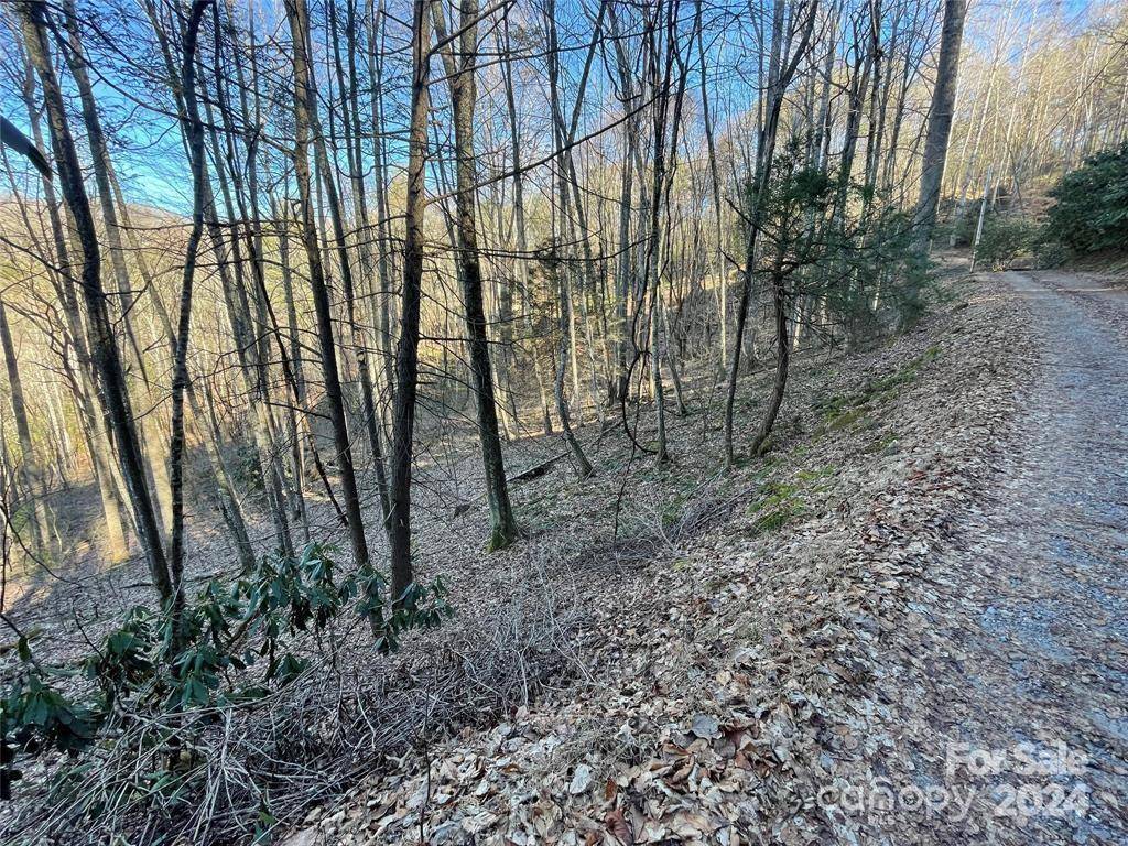 Waynesville, NC 28786,12 Rules Run RD #12C