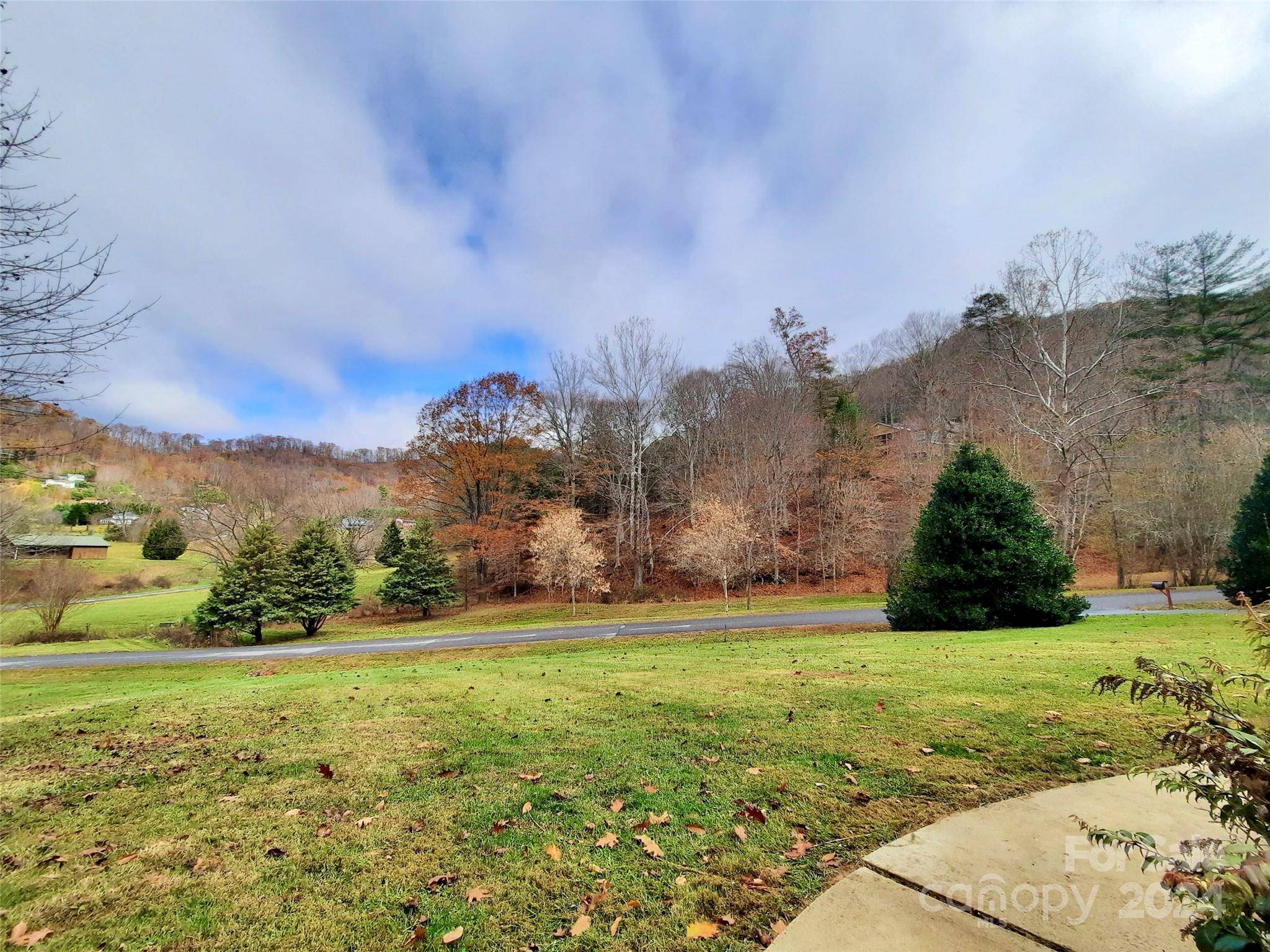 Weaverville, NC 28787,476 Cove Creek LN