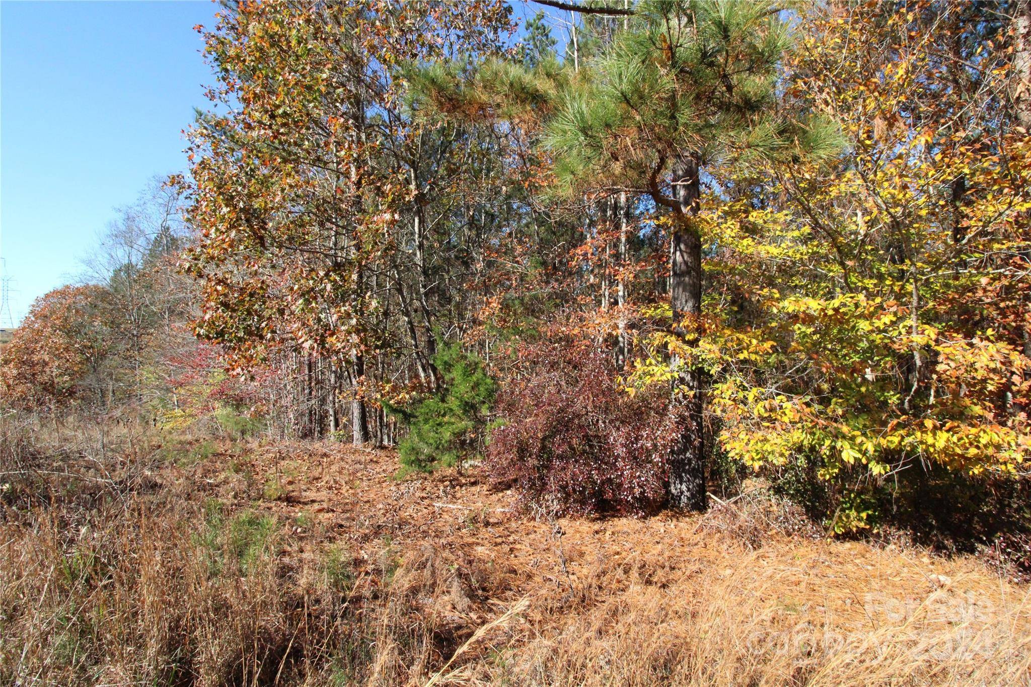 Clover, SC 29710,12+/- AC LOT 5 Hartness RD