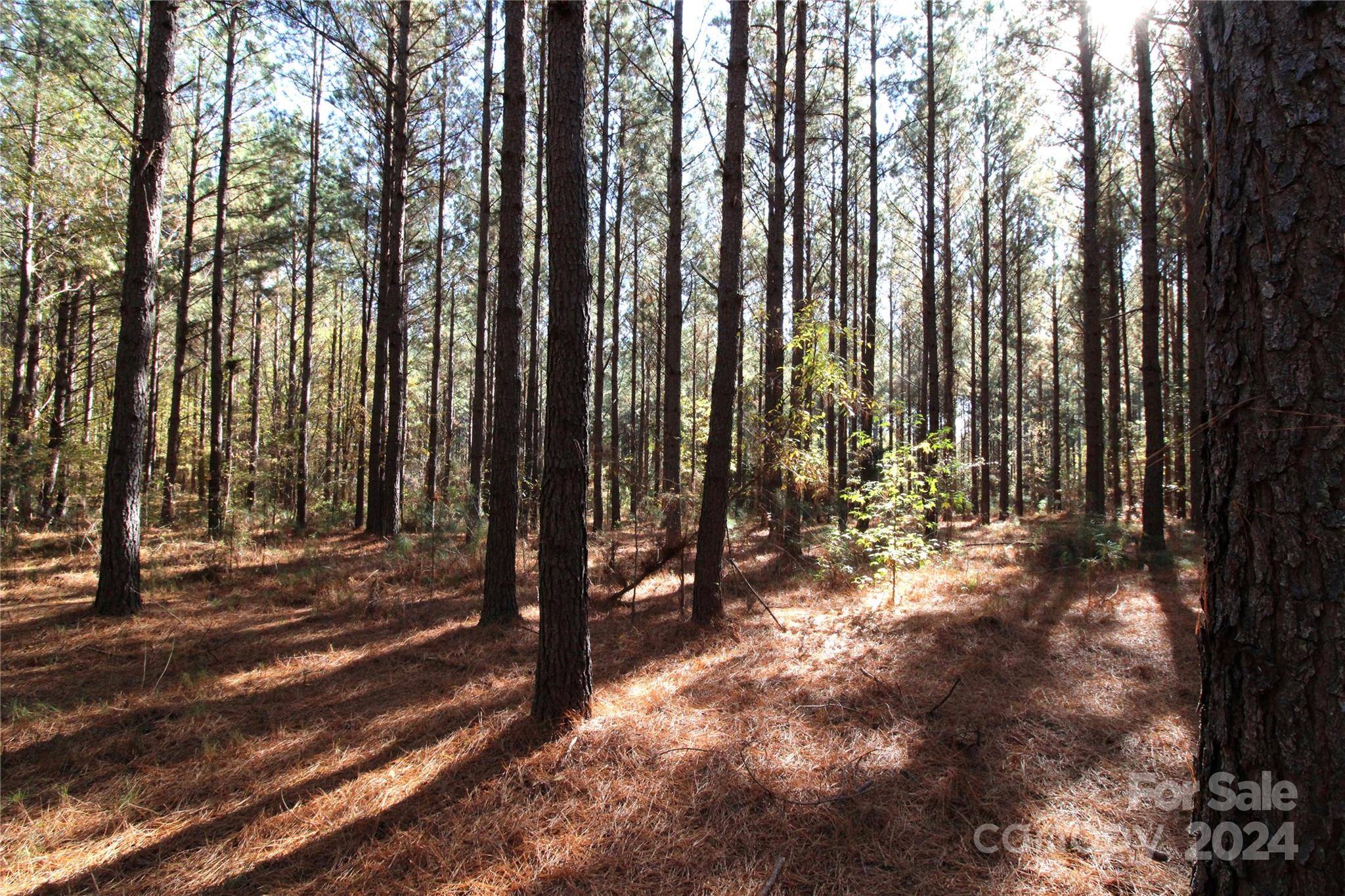 Clover, SC 29710,7+/-AC LOT 1 Templeton RD