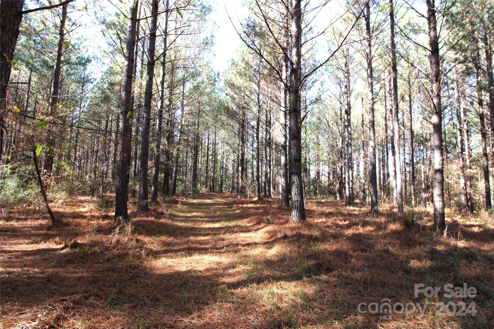 Clover, SC 29710,7+/-AC LOT 1 Templeton RD