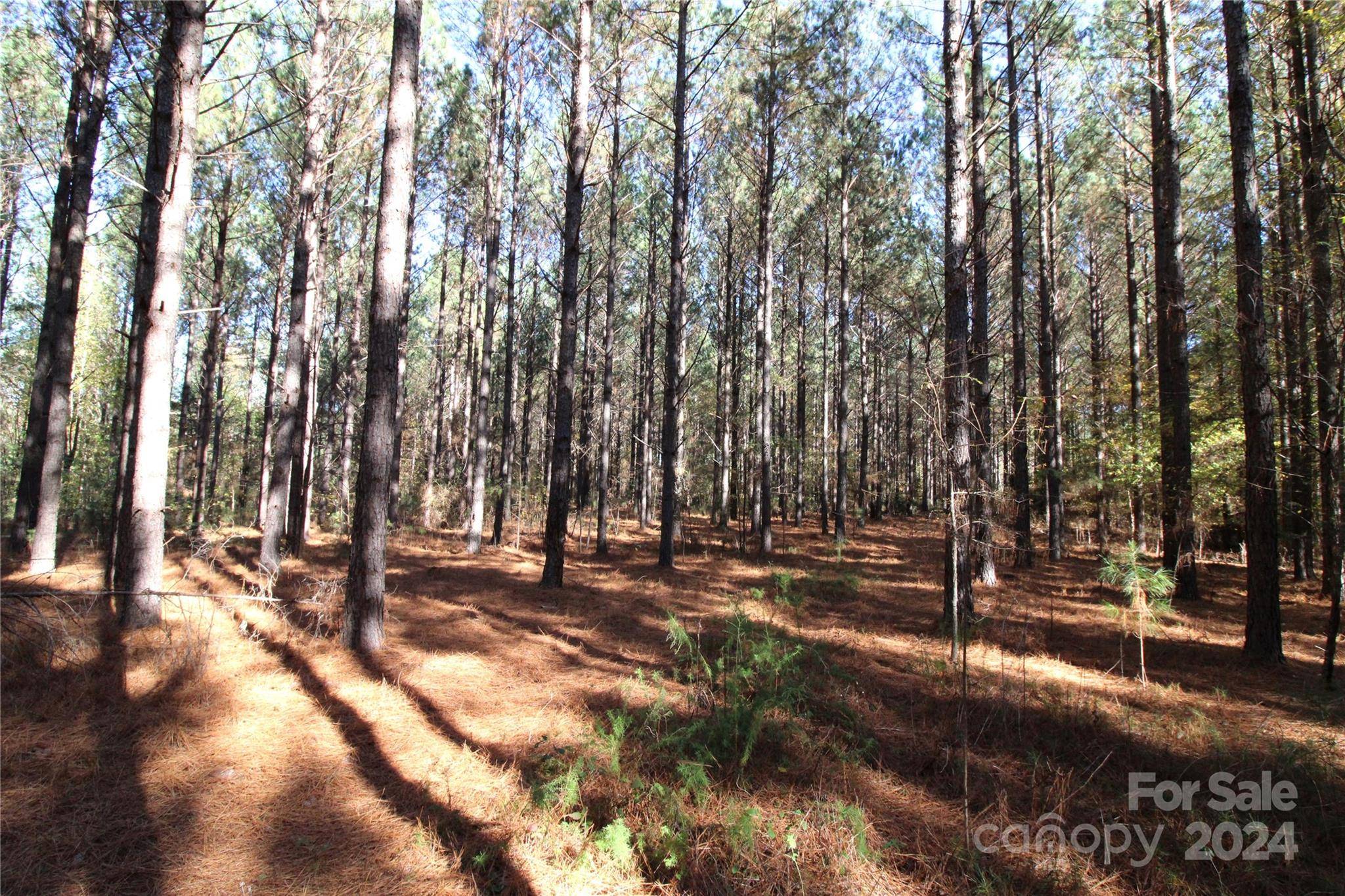 Clover, SC 29710,7+/-AC LOT 1 Templeton RD