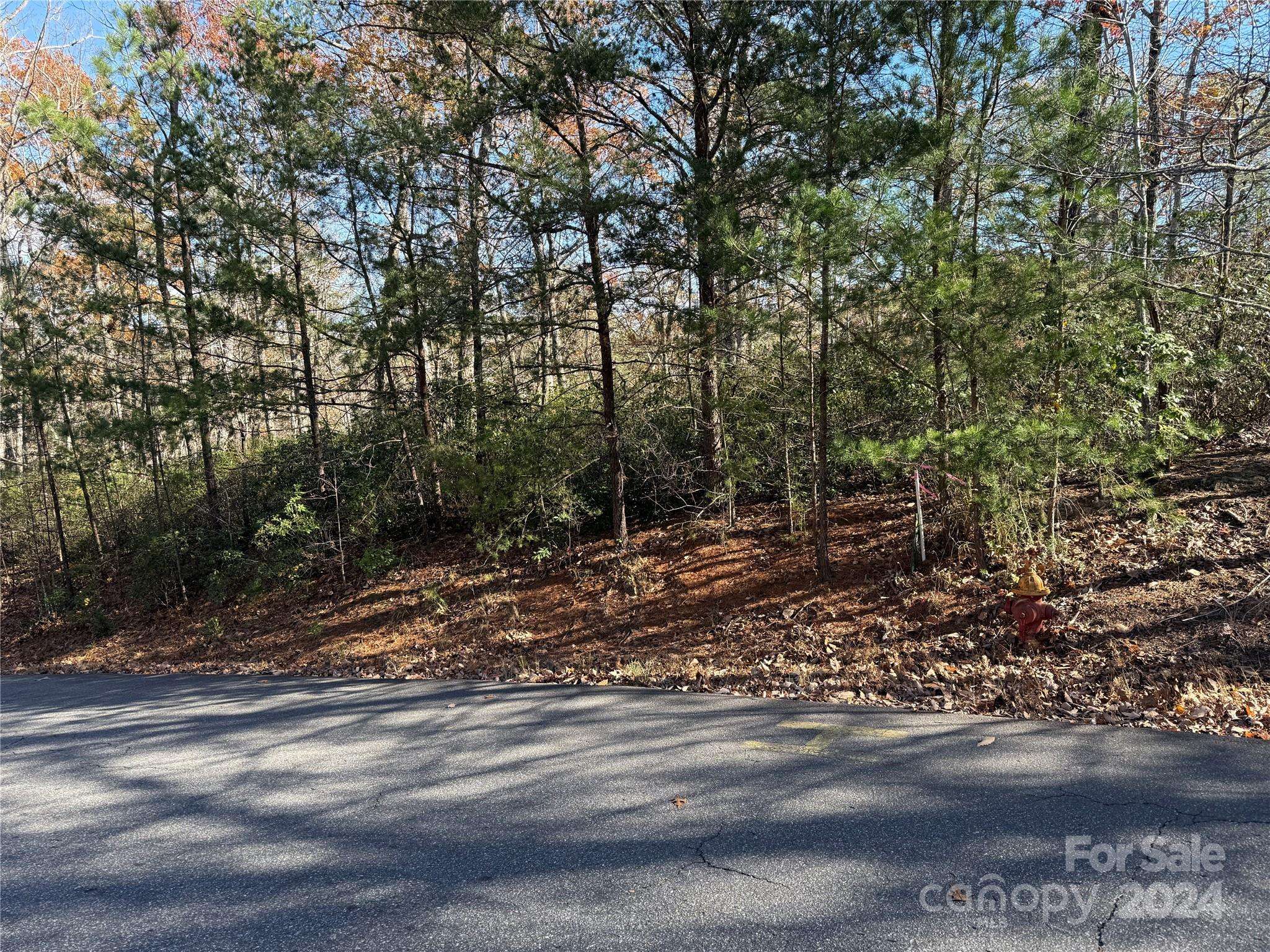 Lake Lure, NC 28746,Lot 48 Shumont Estates DR #48