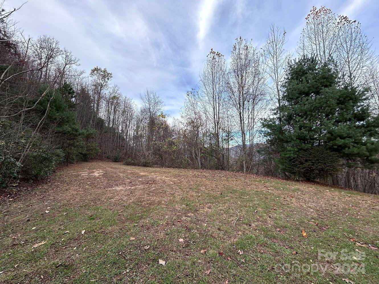 Robbinsville, NC 28771,Lot 15 Sawyer Cove Hideaway None