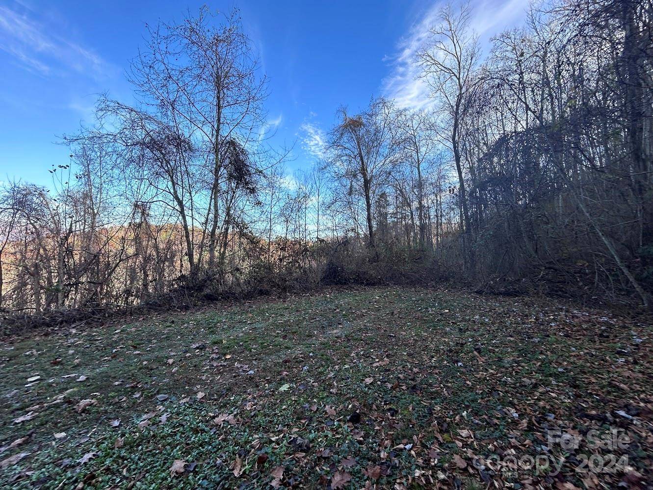 Robbinsville, NC 28771,Lot 10 Sawyer Cove Hideaway None