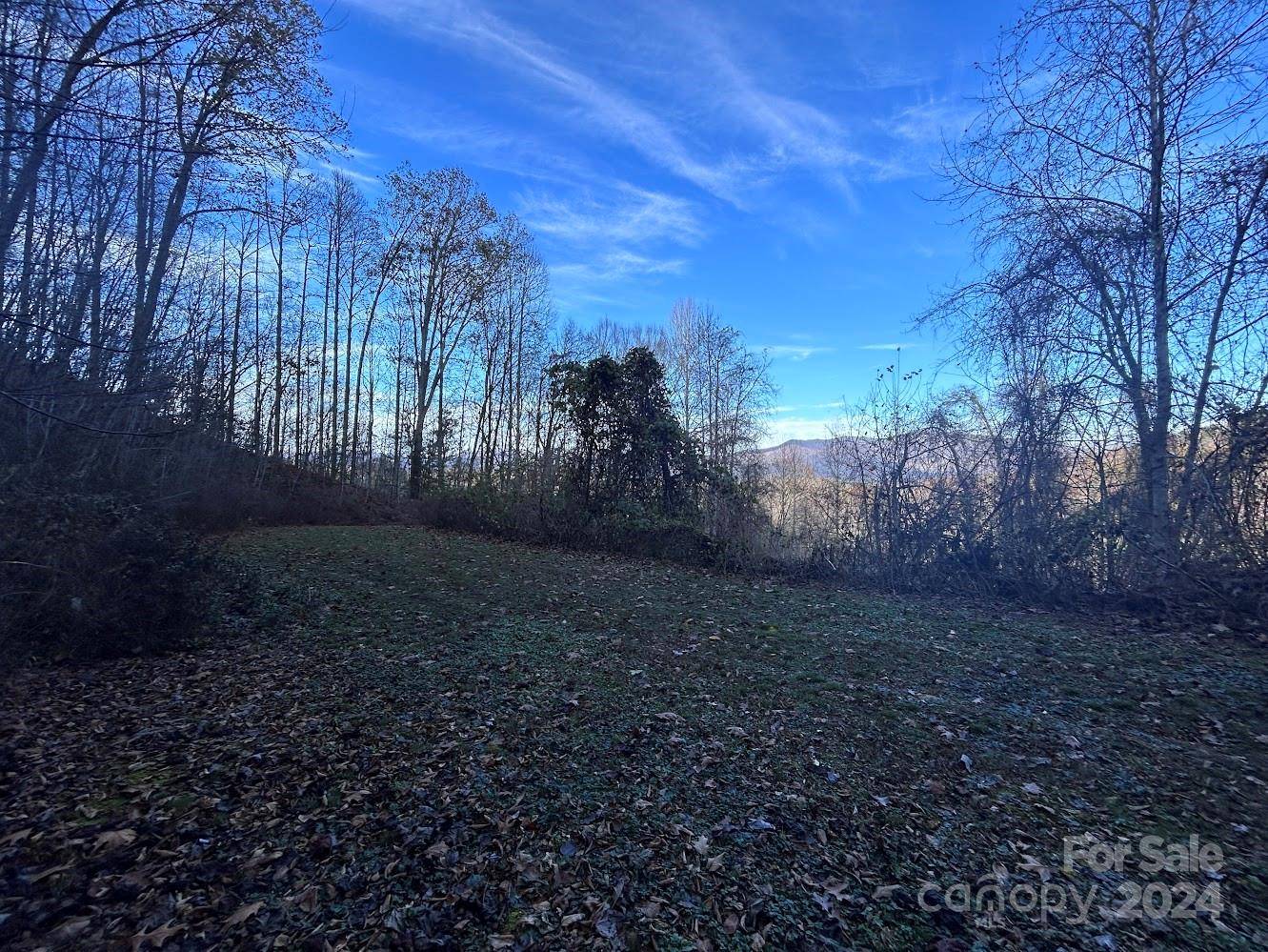 Robbinsville, NC 28771,Lot 10 Sawyer Cove Hideaway None