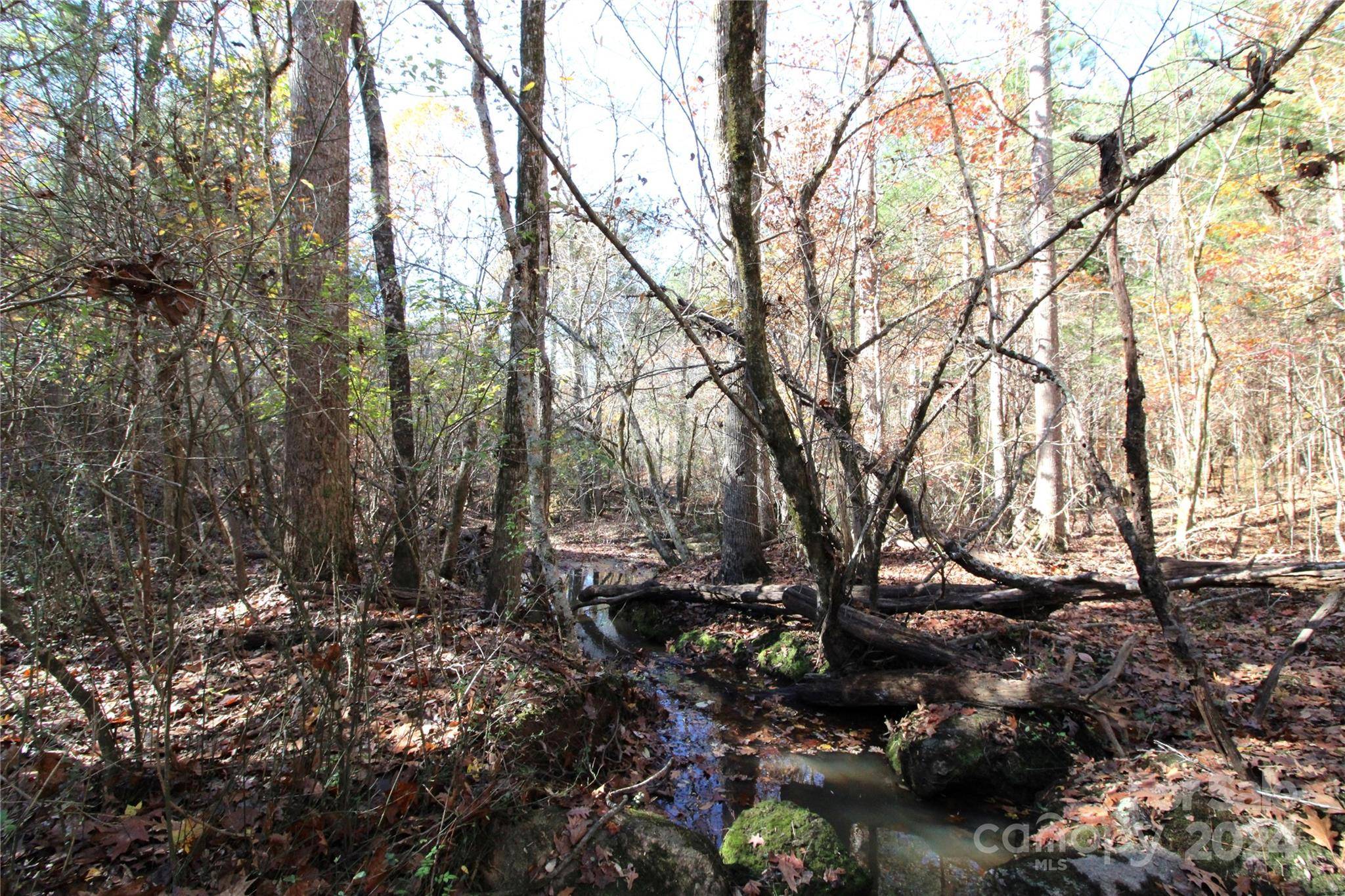 Clover, SC 29710,40+/- AC LOT 6 Hartness RD