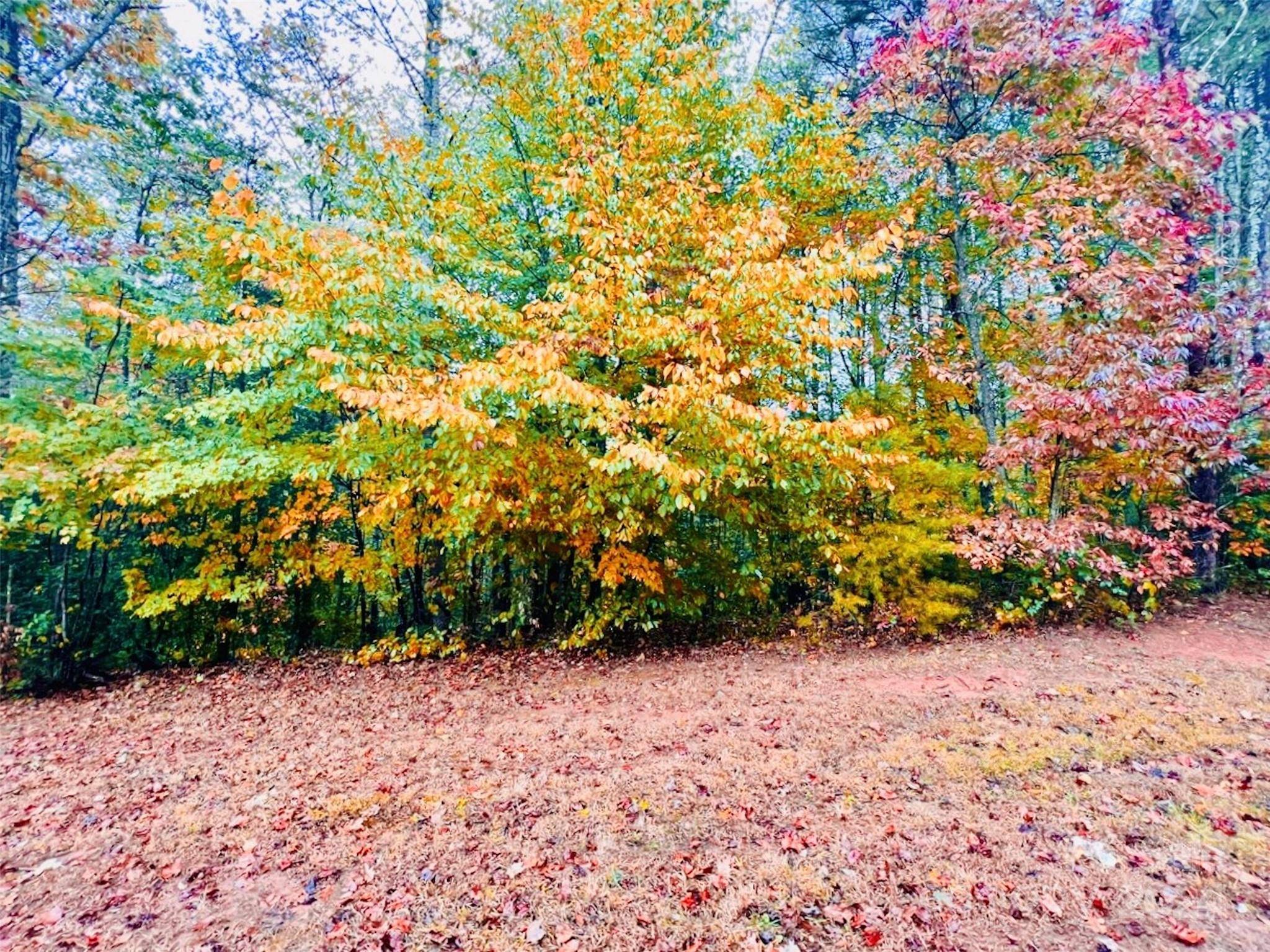 Lenoir, NC 28645,1.4 acres, 1184 Waterfall LN #Lot 235