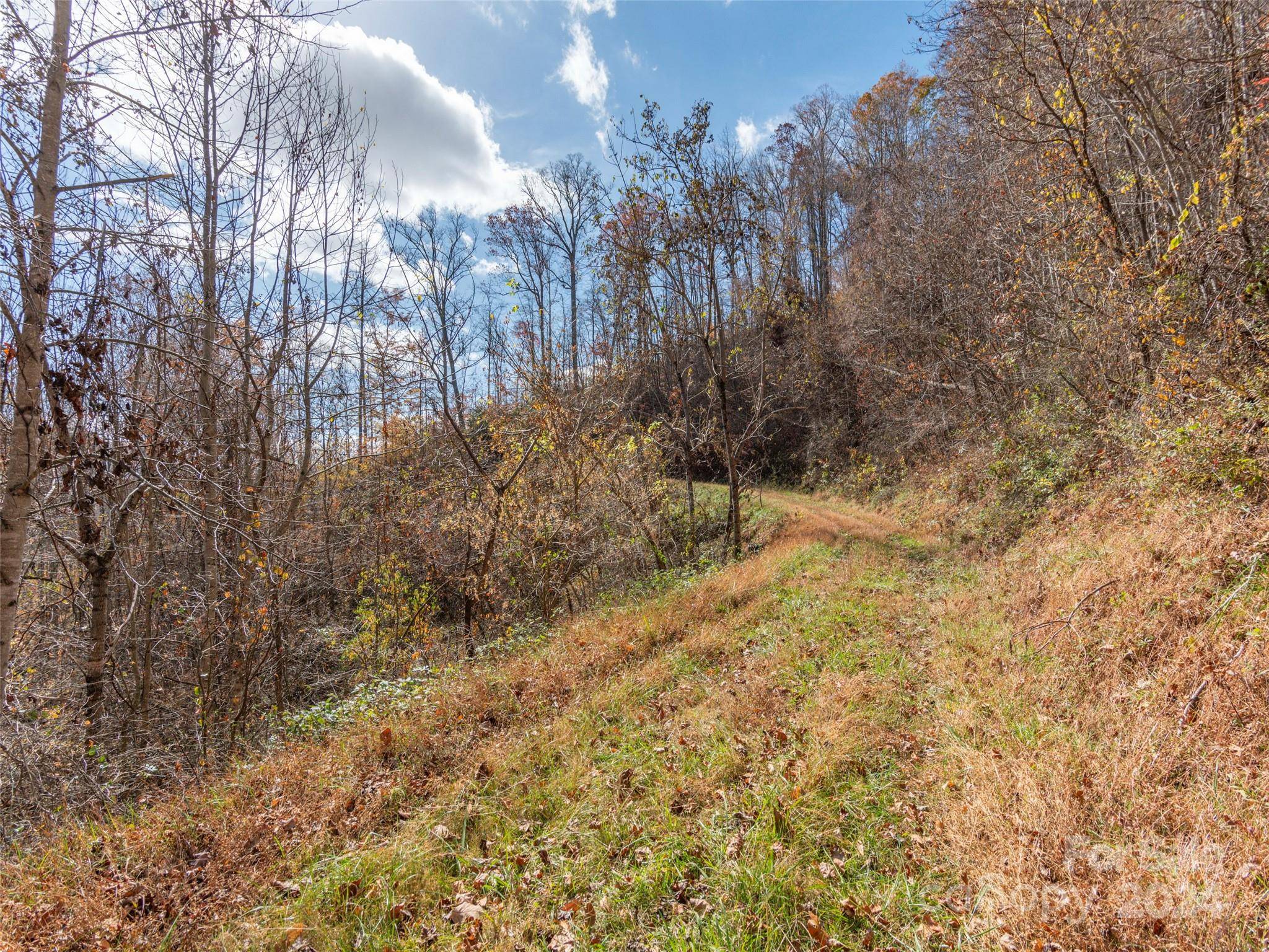 Clyde, NC 28721,Lot 5 McNary DR