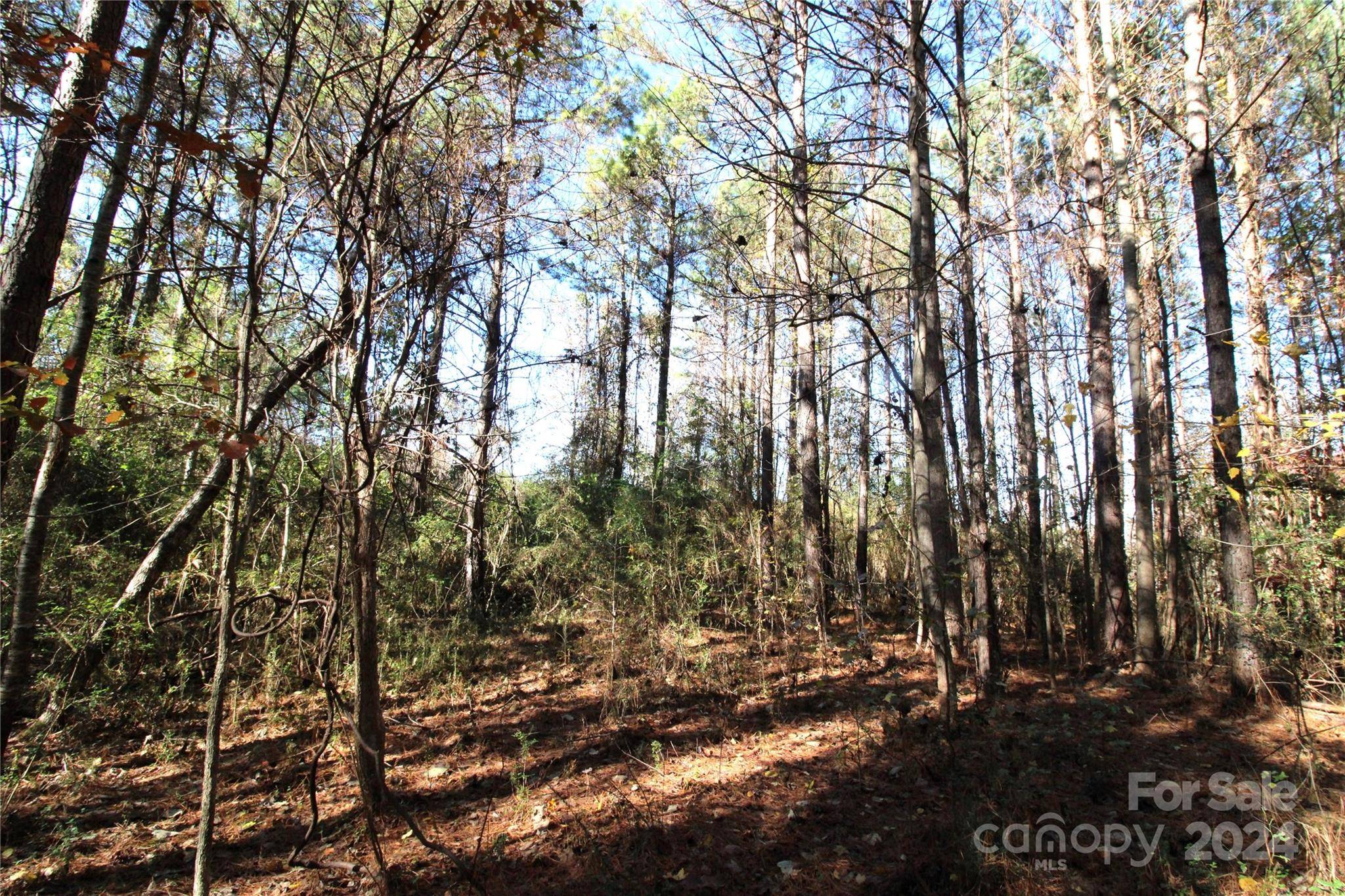 Clover, SC 29710,7+/- AC LOT 3 Hartness RD