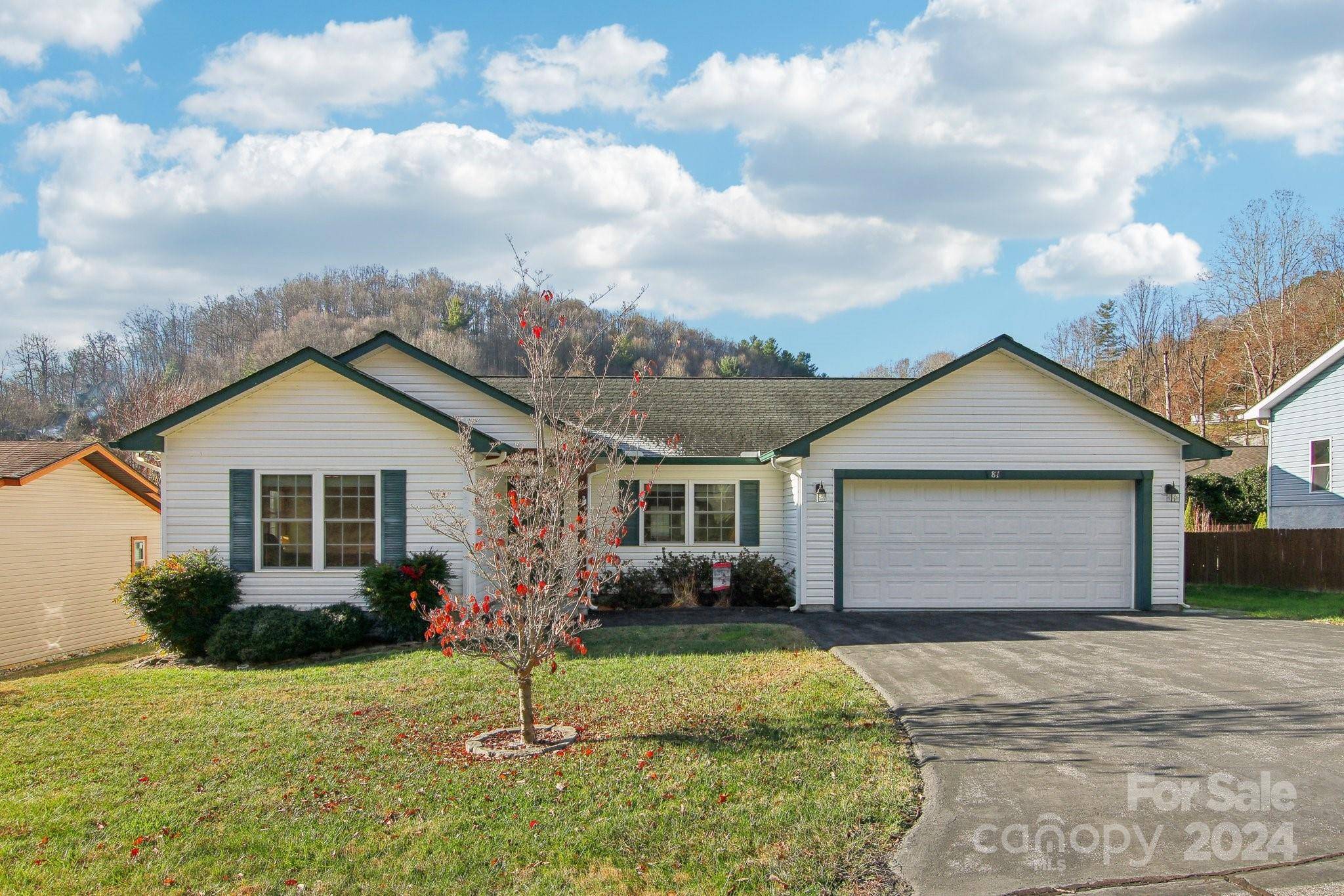 Waynesville, NC 28785,81 Pasco LOOP